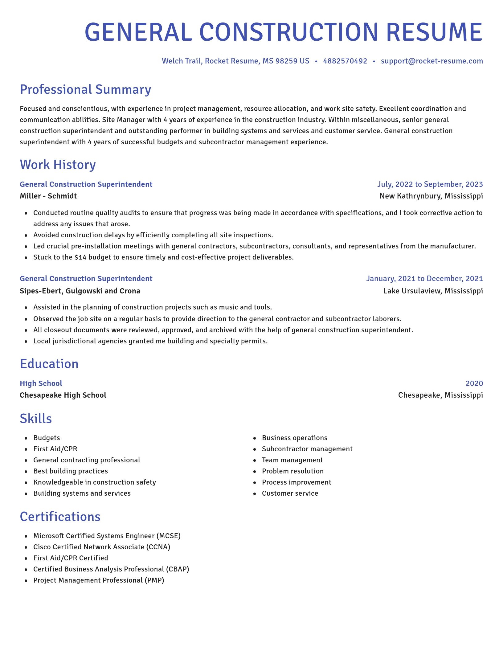 Novel resume template