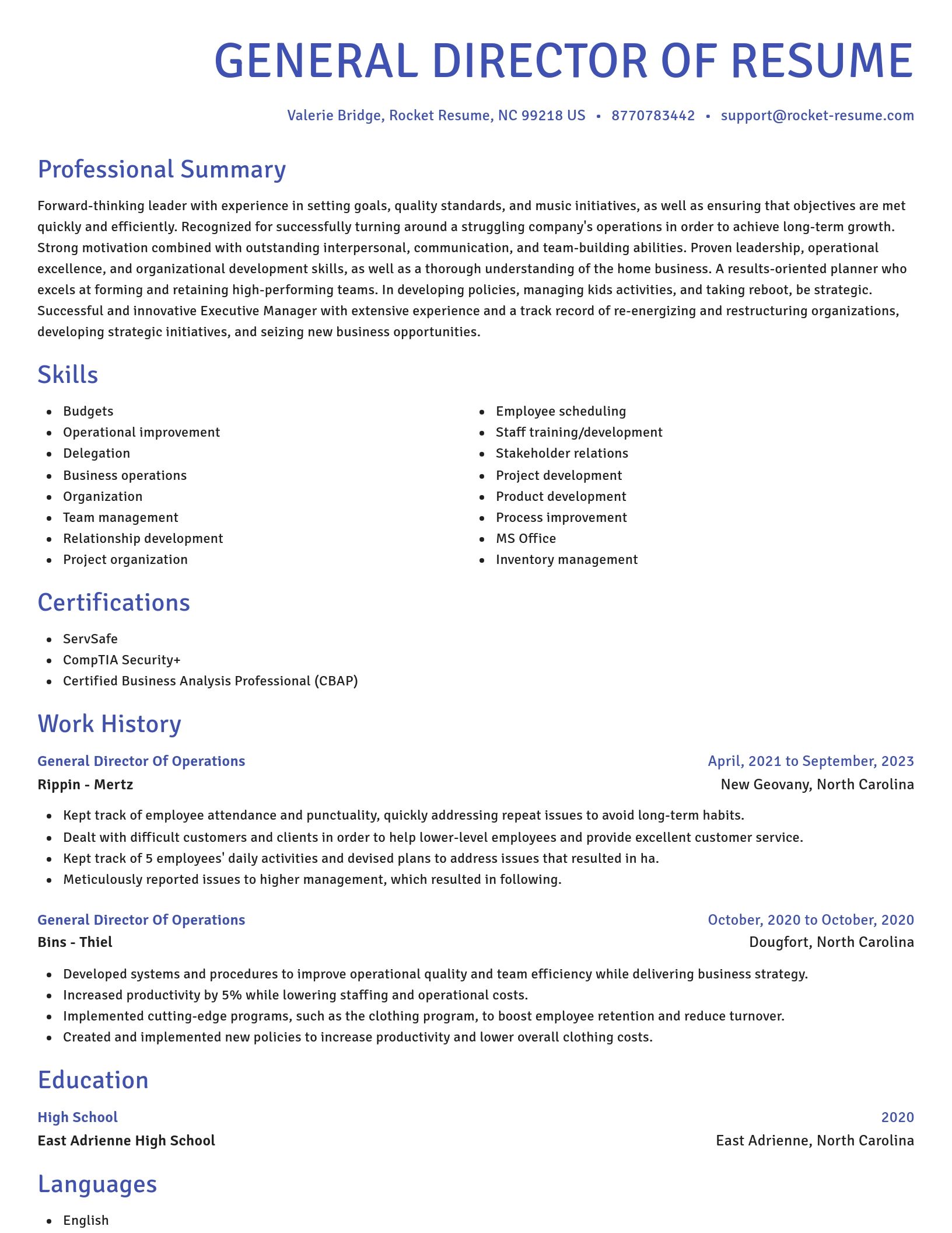 Novel resume template