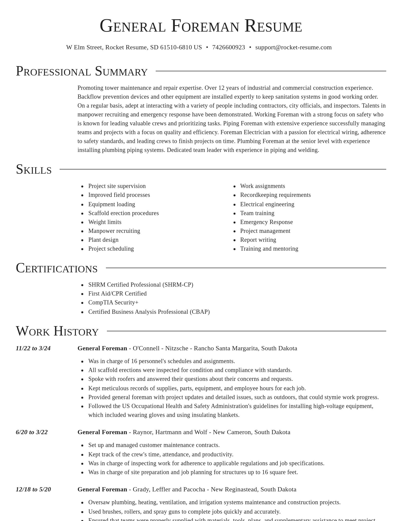 Director resume template