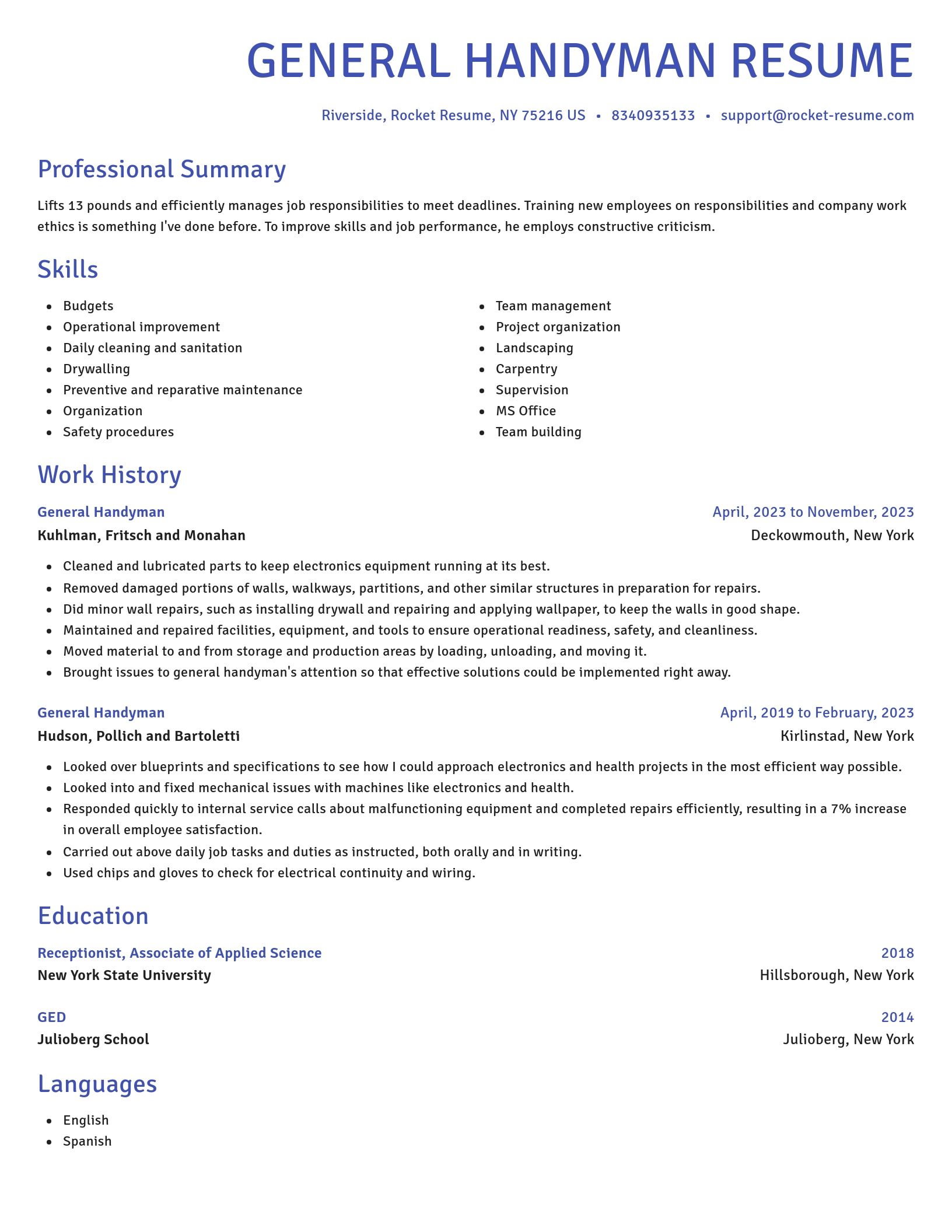 Novel resume template