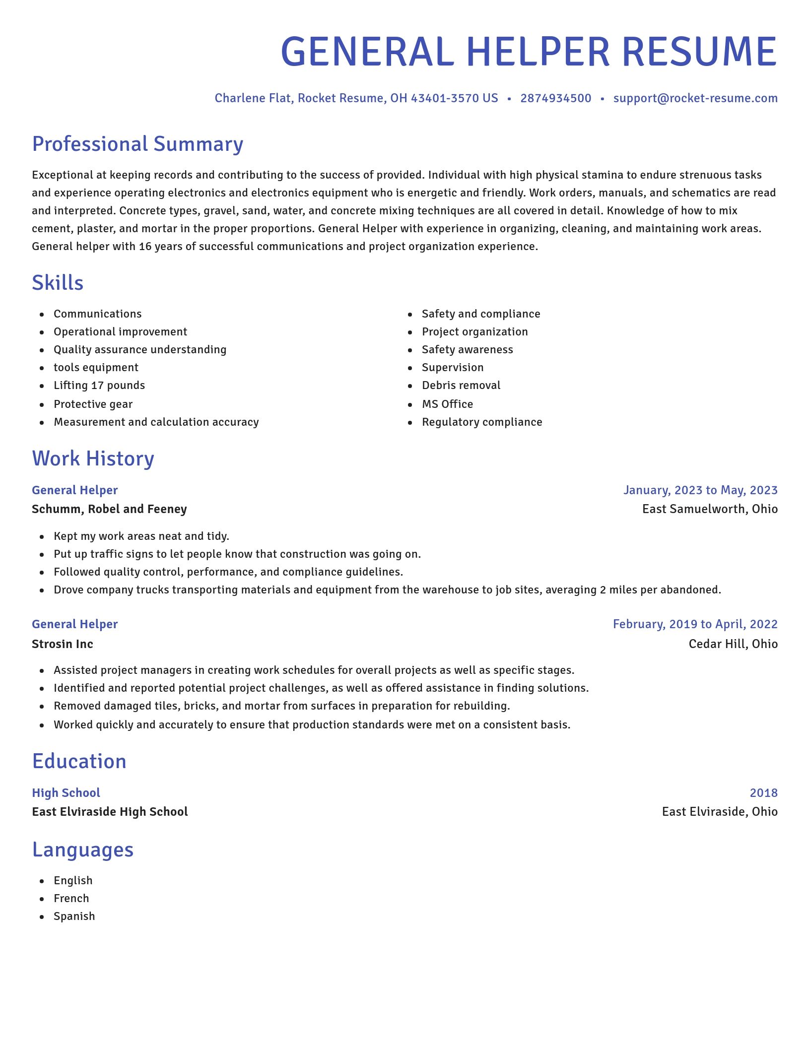 Novel resume template