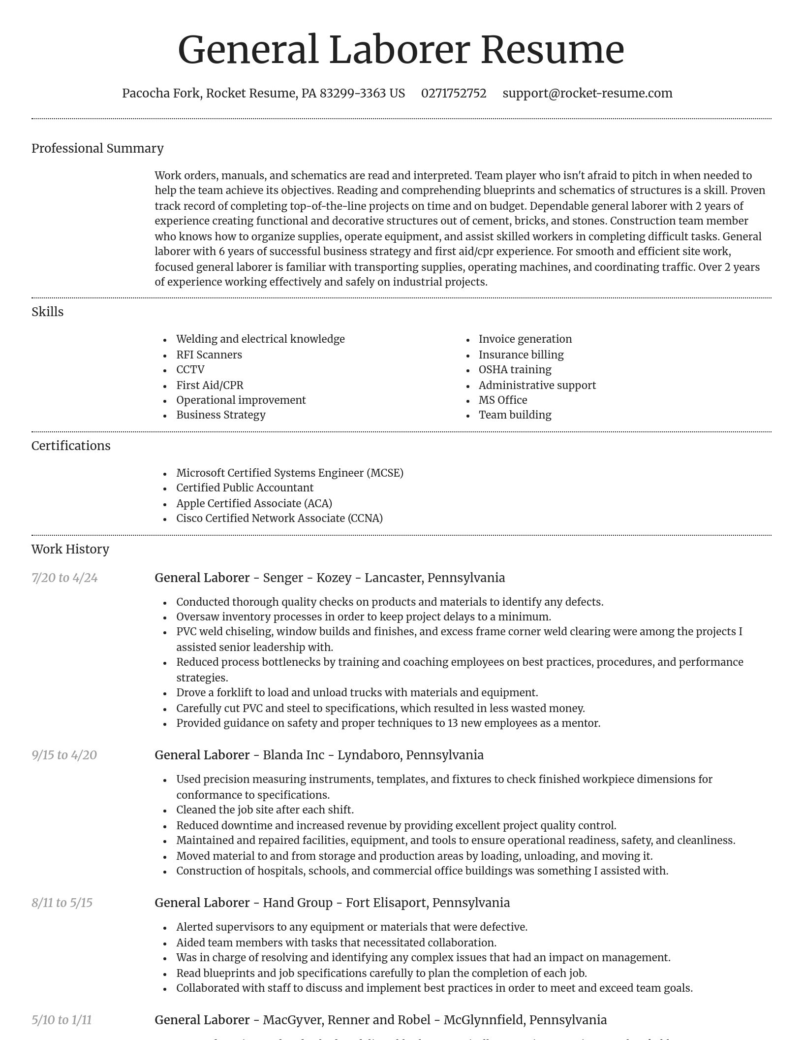 Dignified resume template