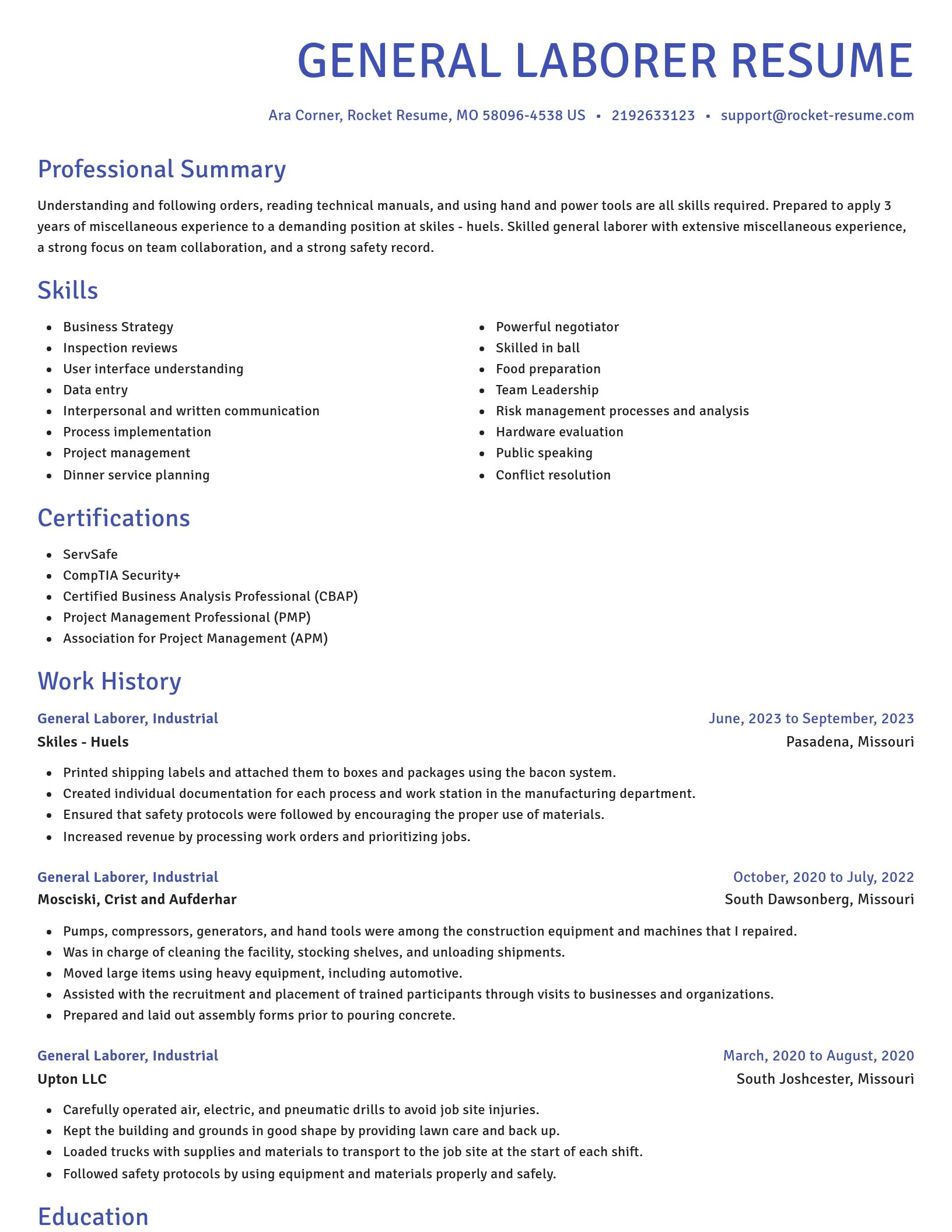 Novel resume template