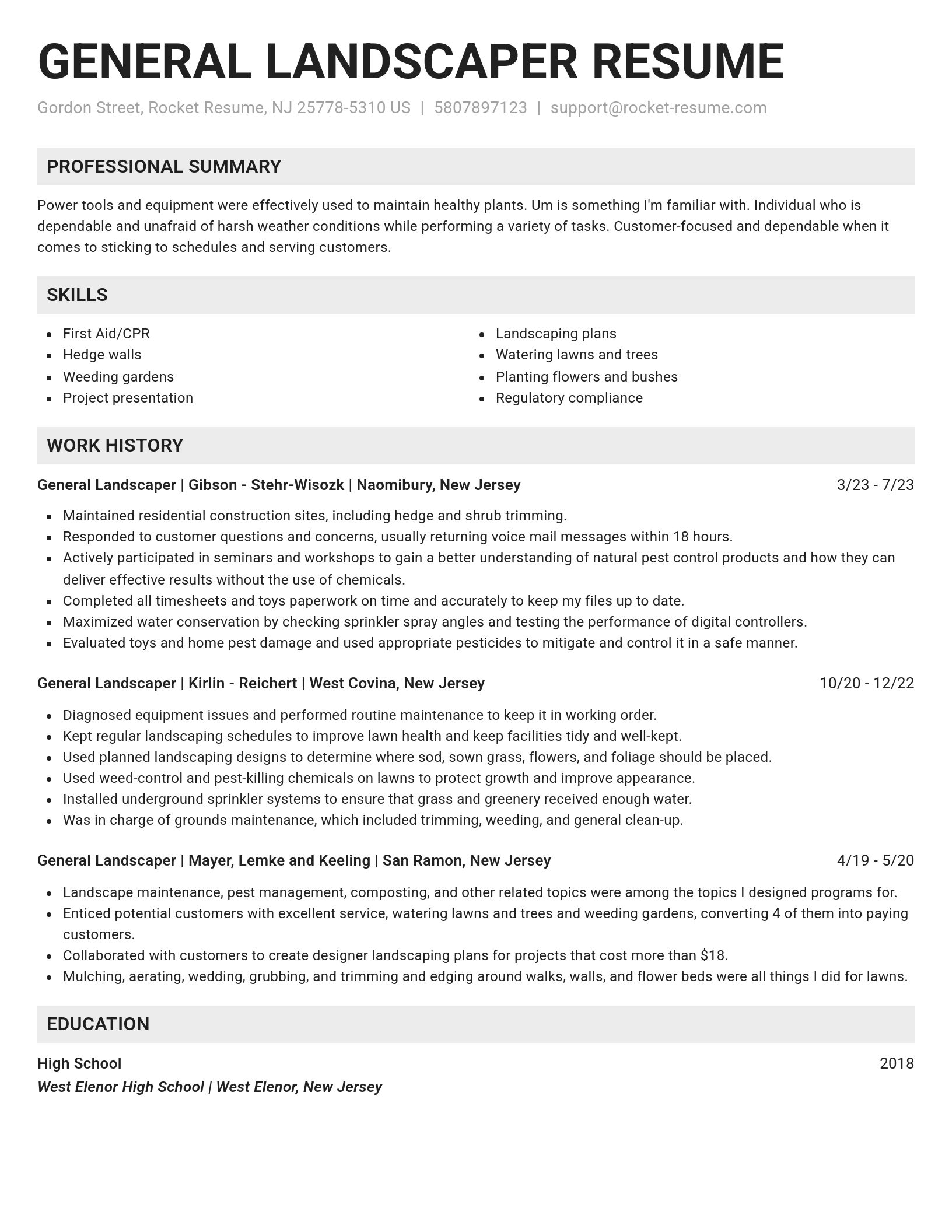 Genius resume template