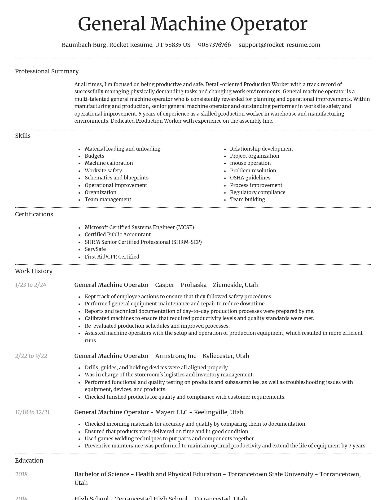 Dignified resume template