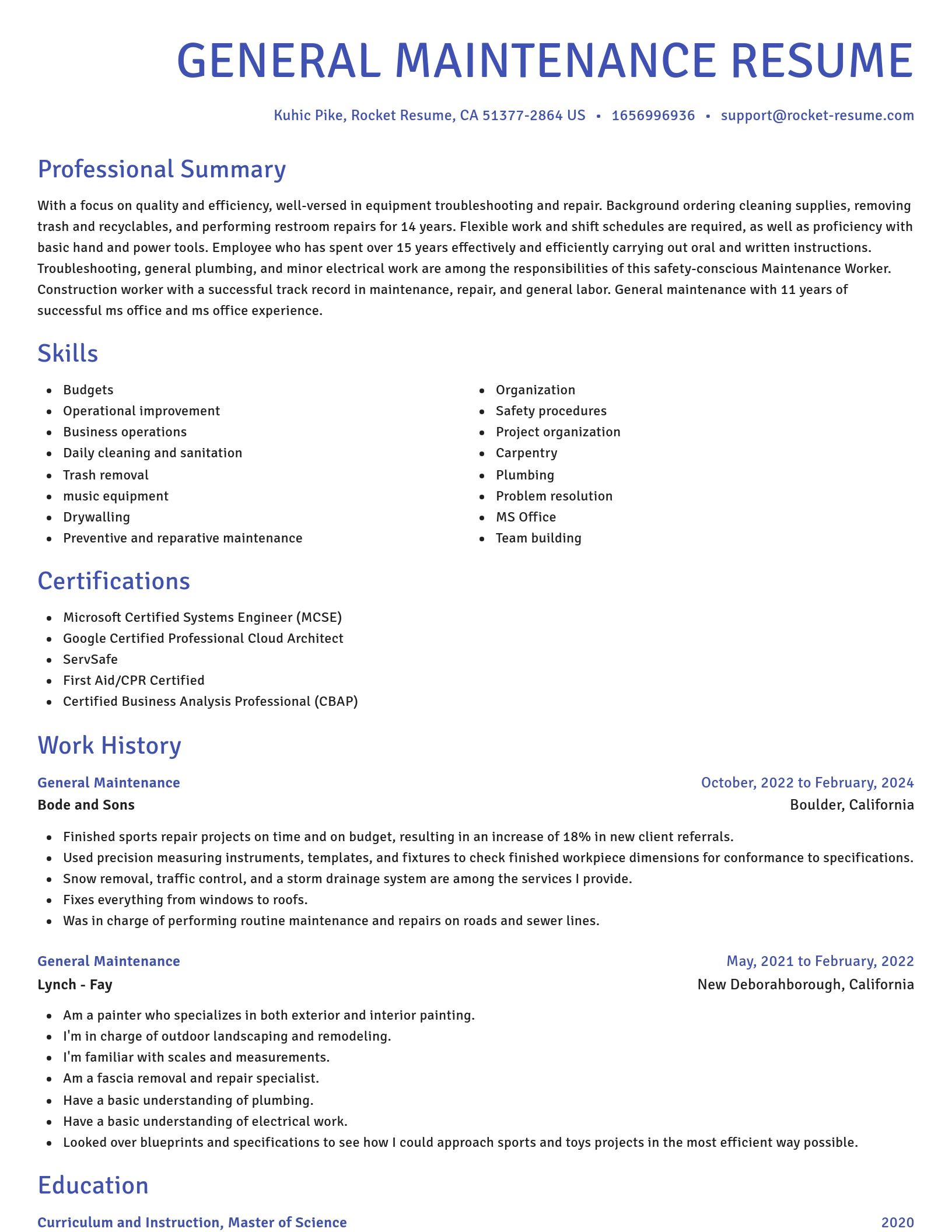 Novel resume template