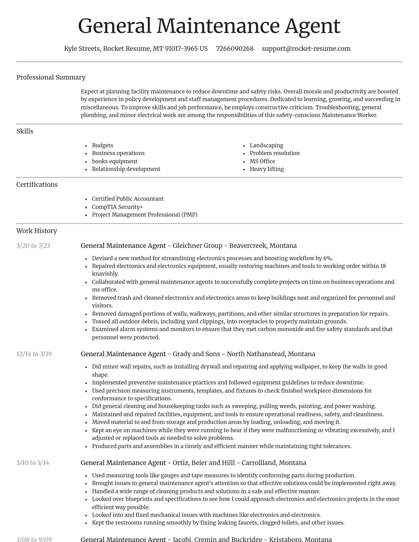 Dignified resume template