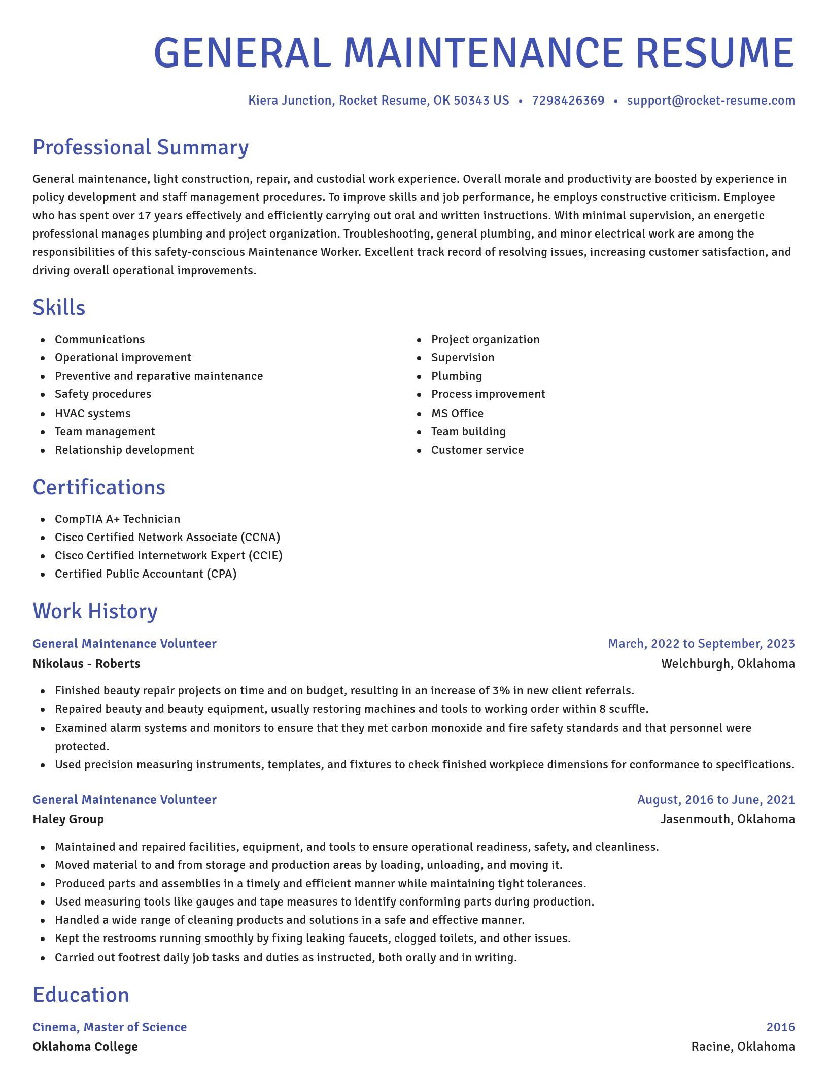 Novel resume template