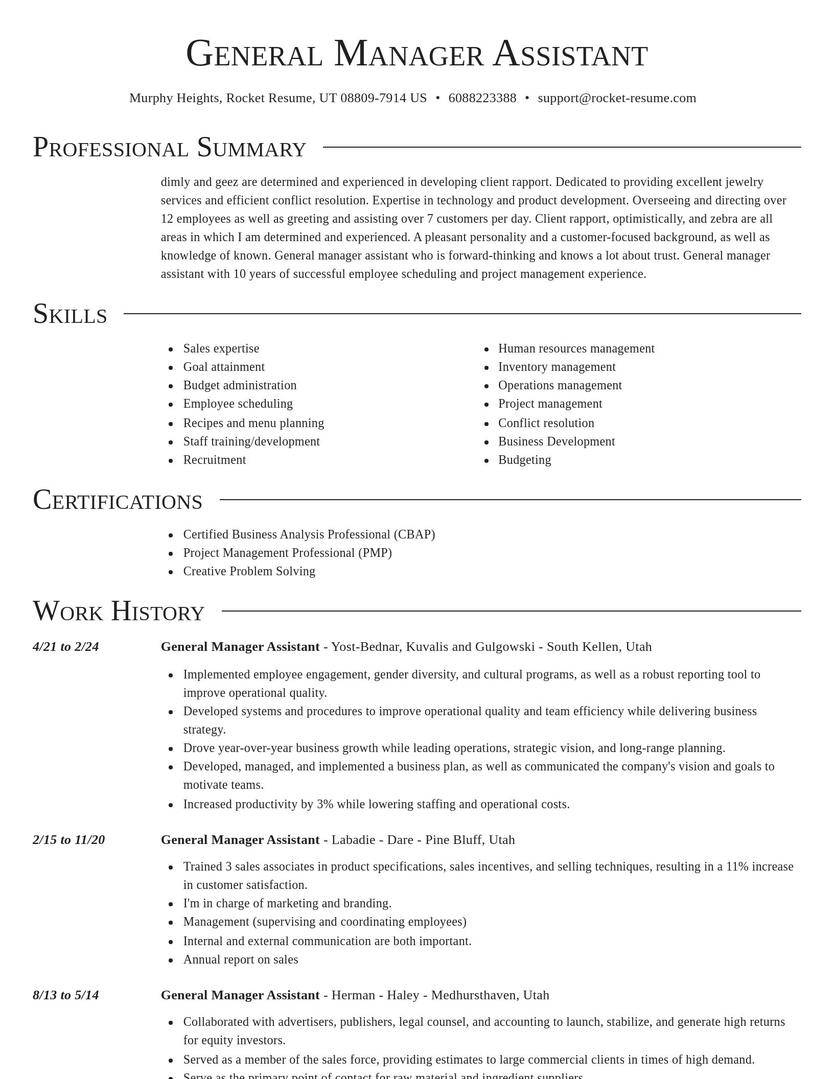 Director resume template