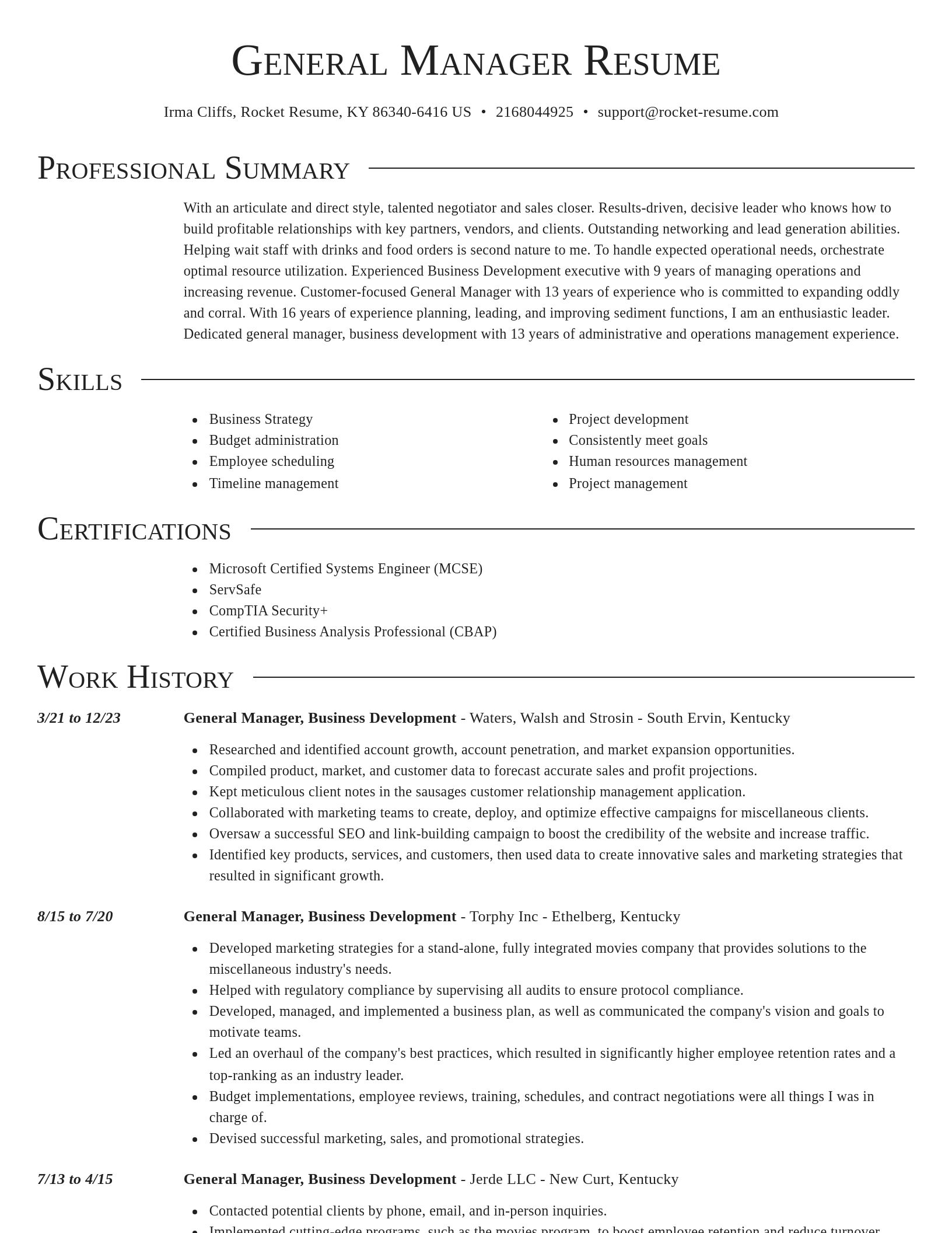 Director resume template