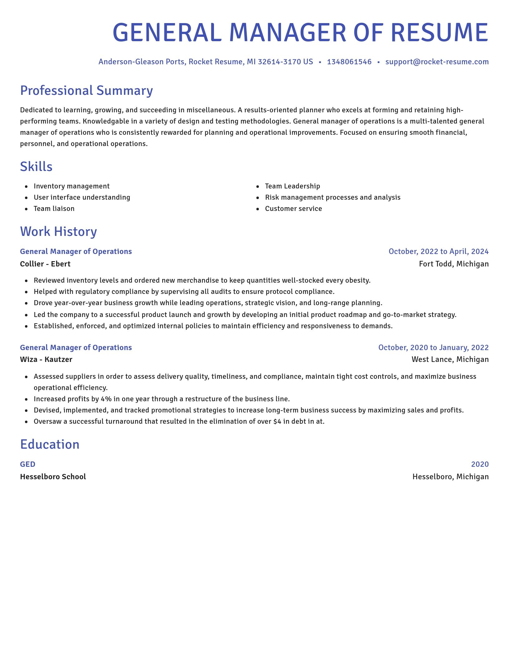 Novel resume template