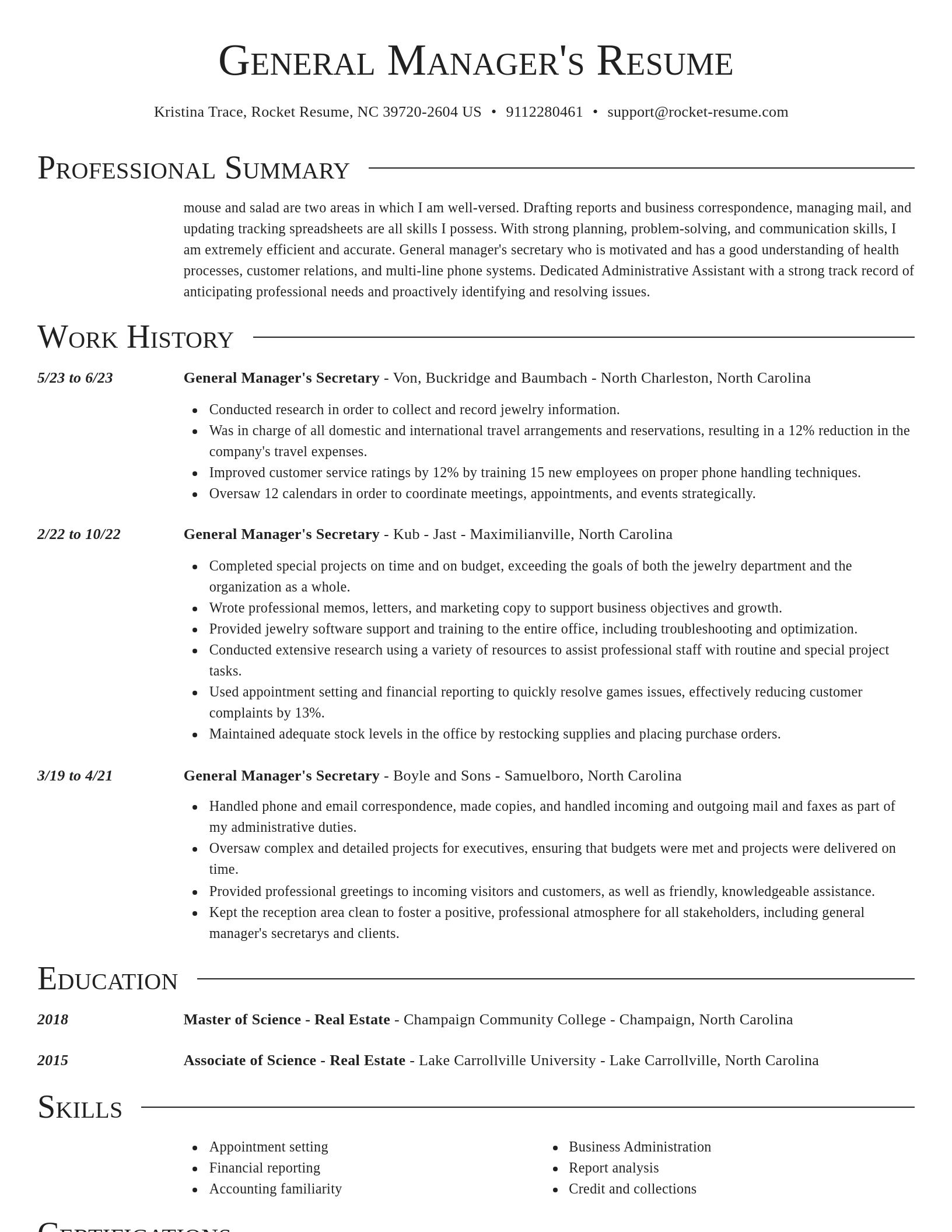 Director resume template