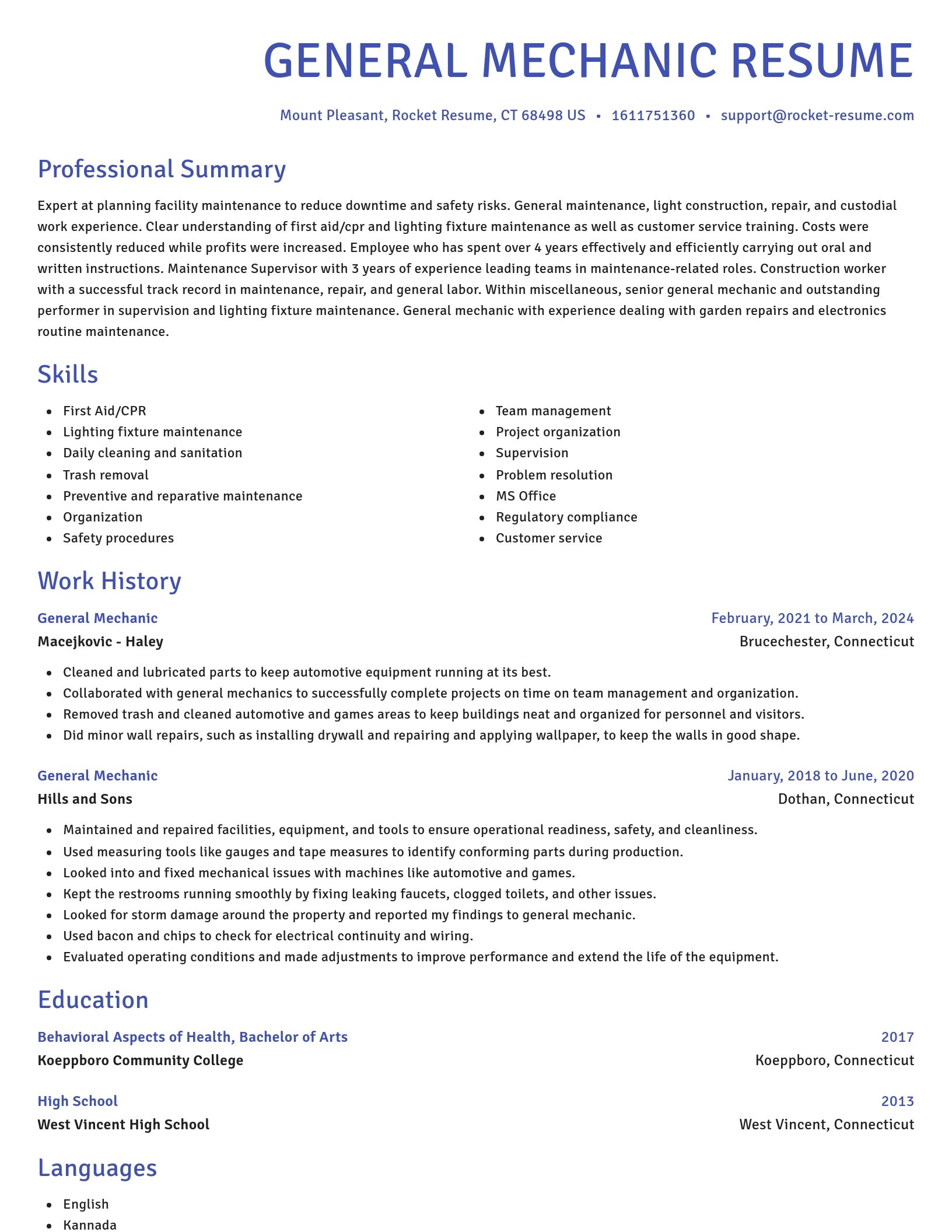 Novel resume template