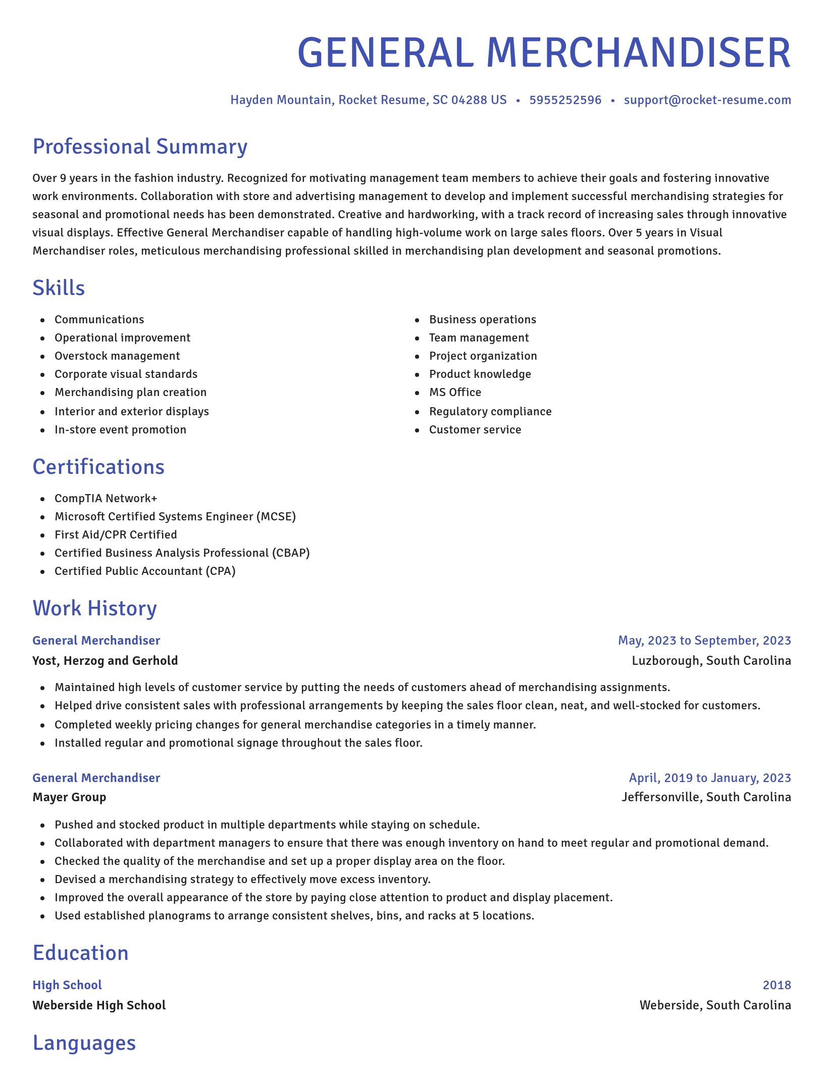 Novel resume template
