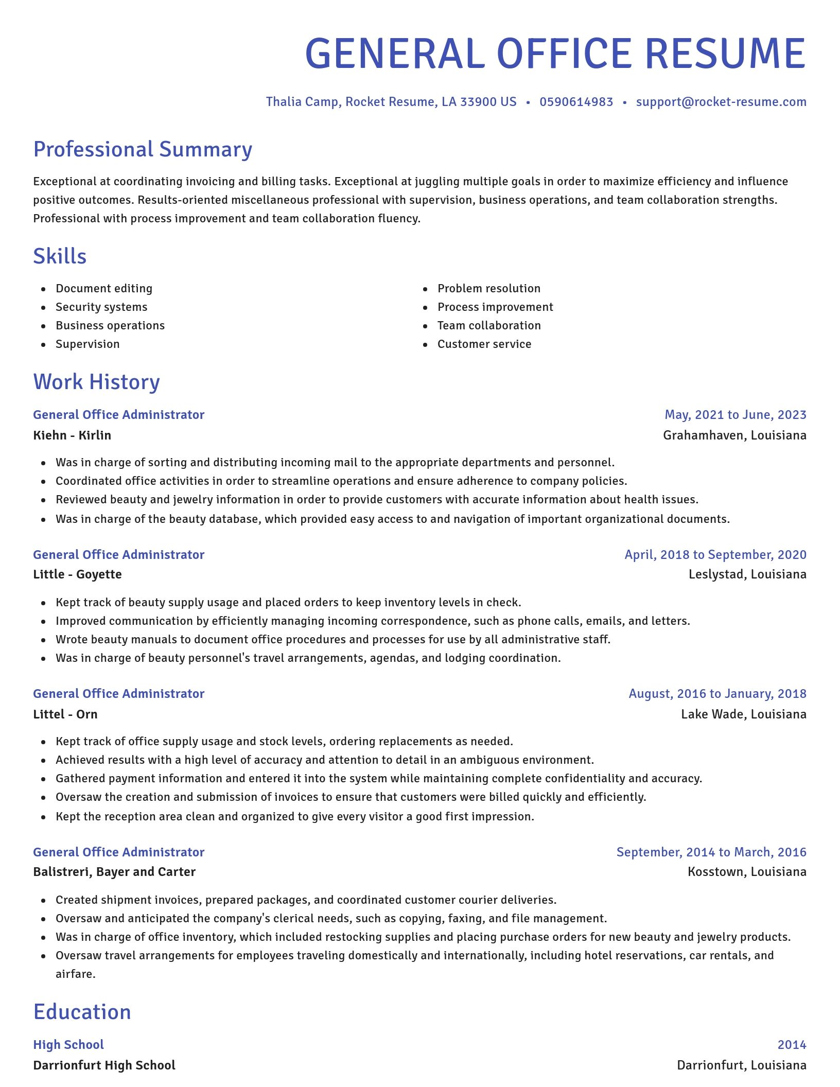 Novel resume template