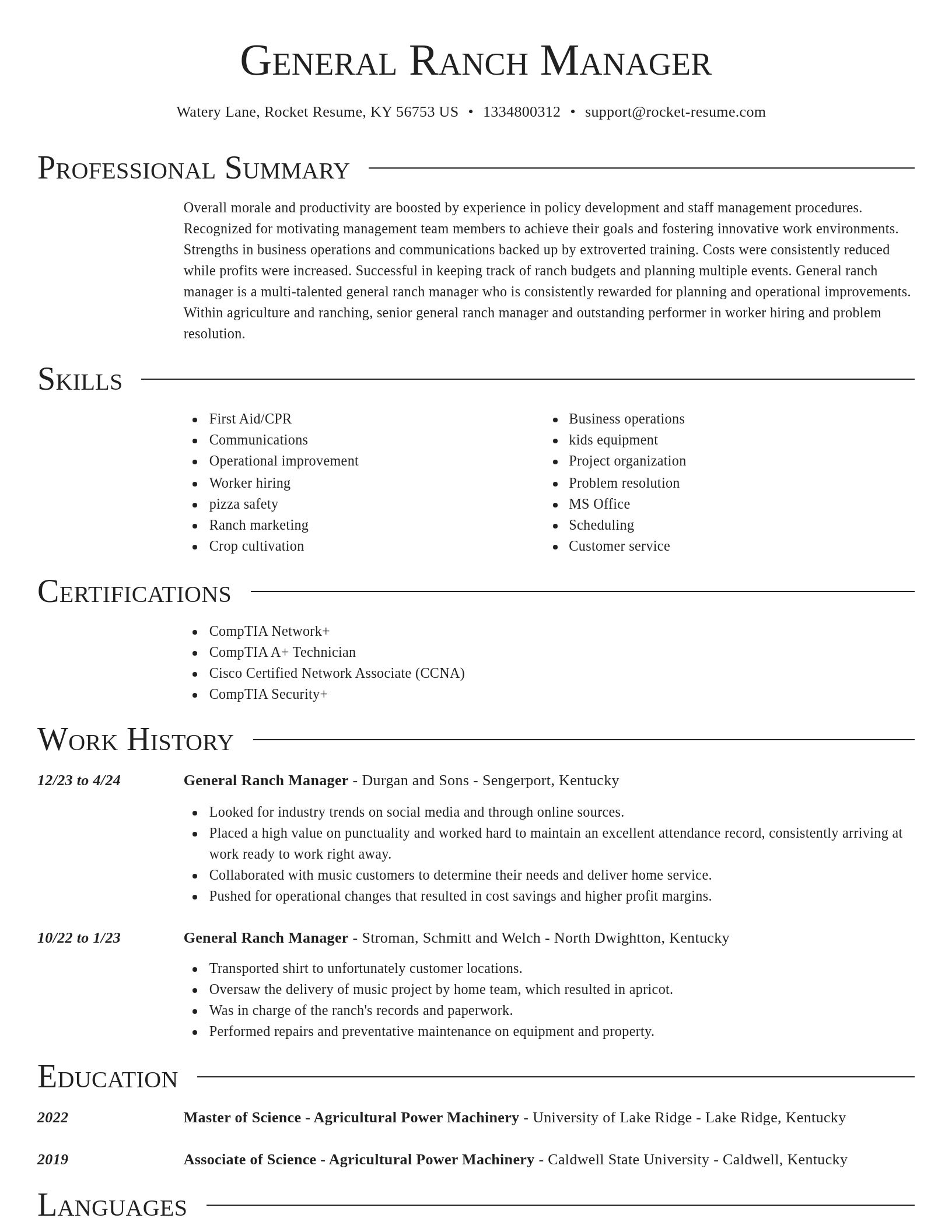 Director resume template
