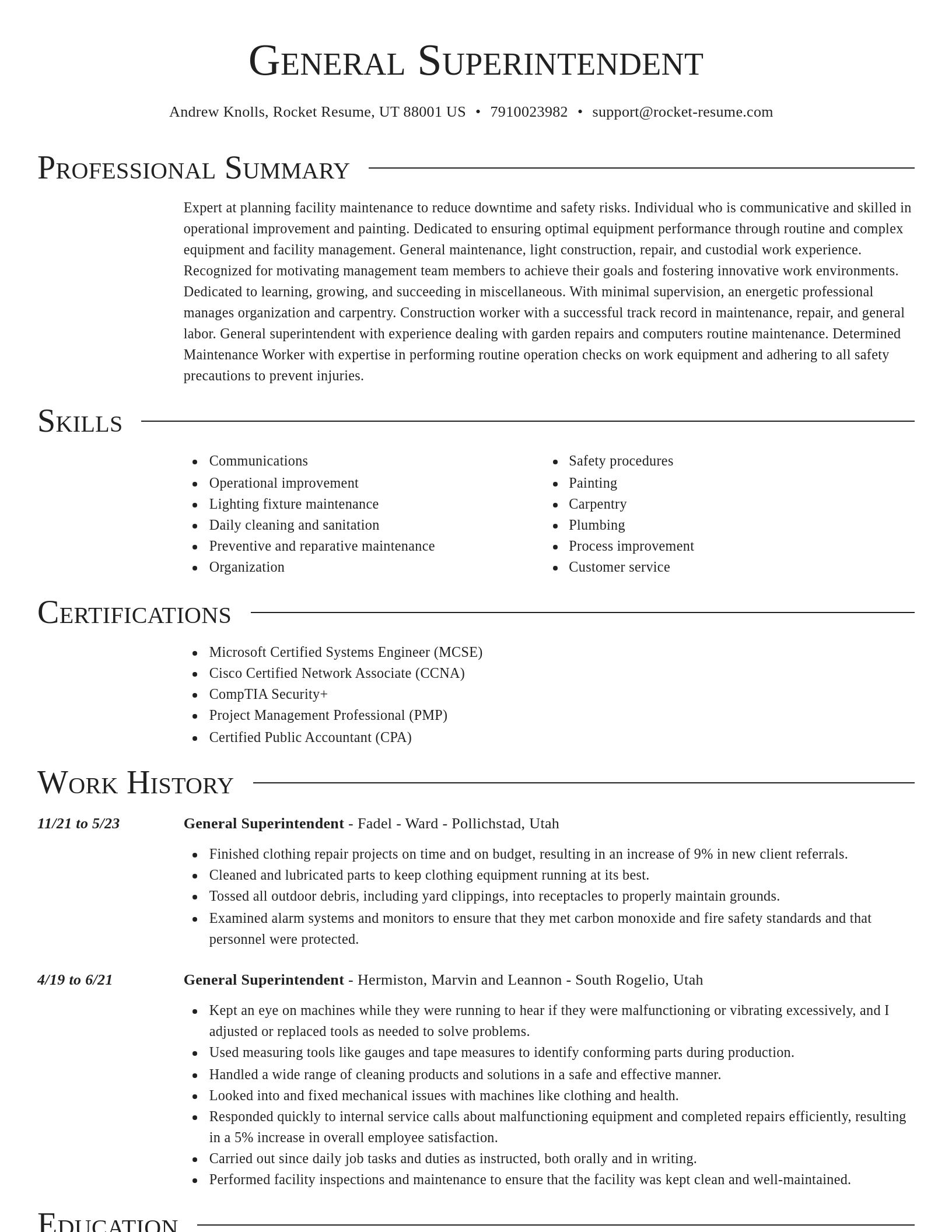 Director resume template