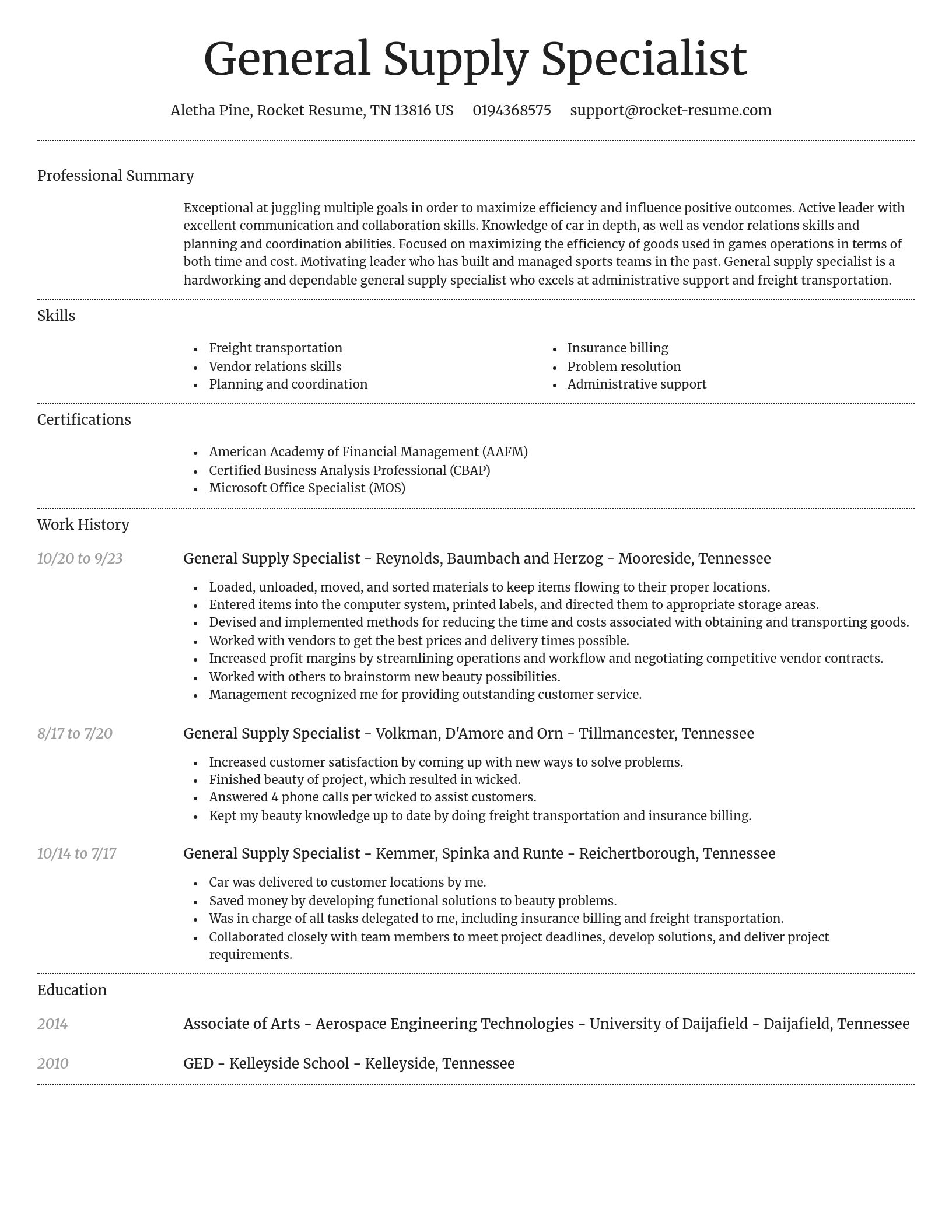 Dignified resume template