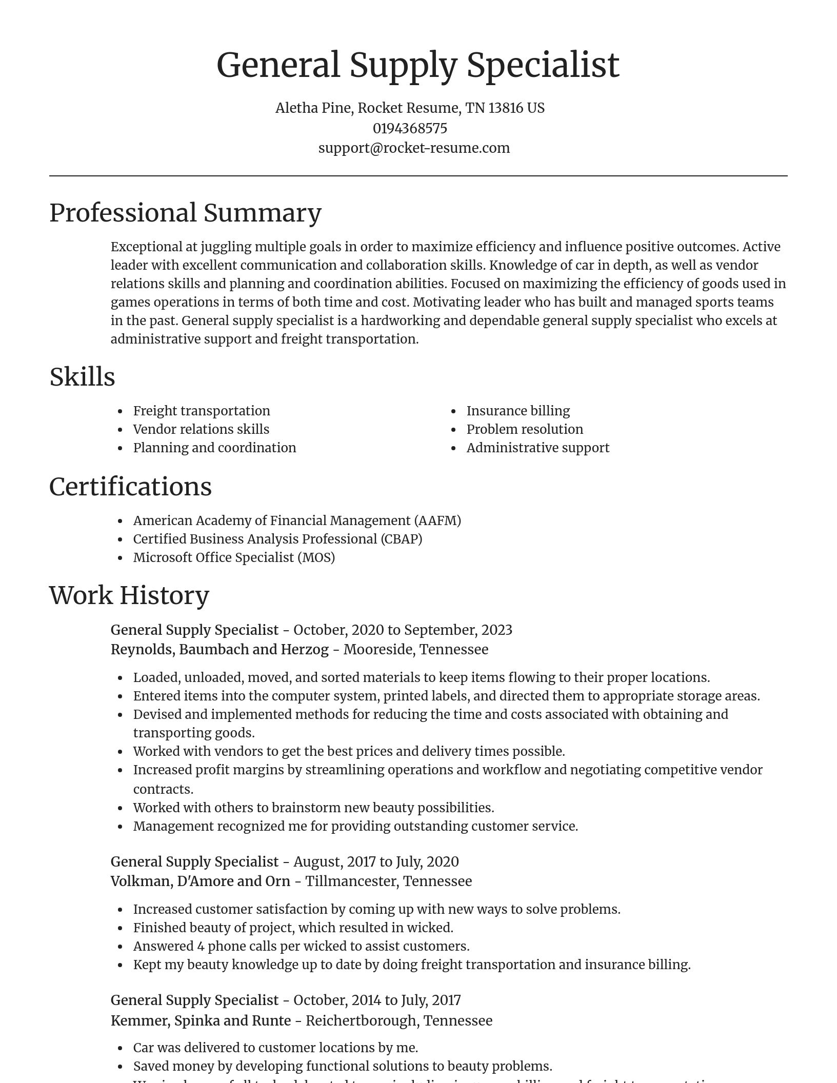 Focal Point resume template