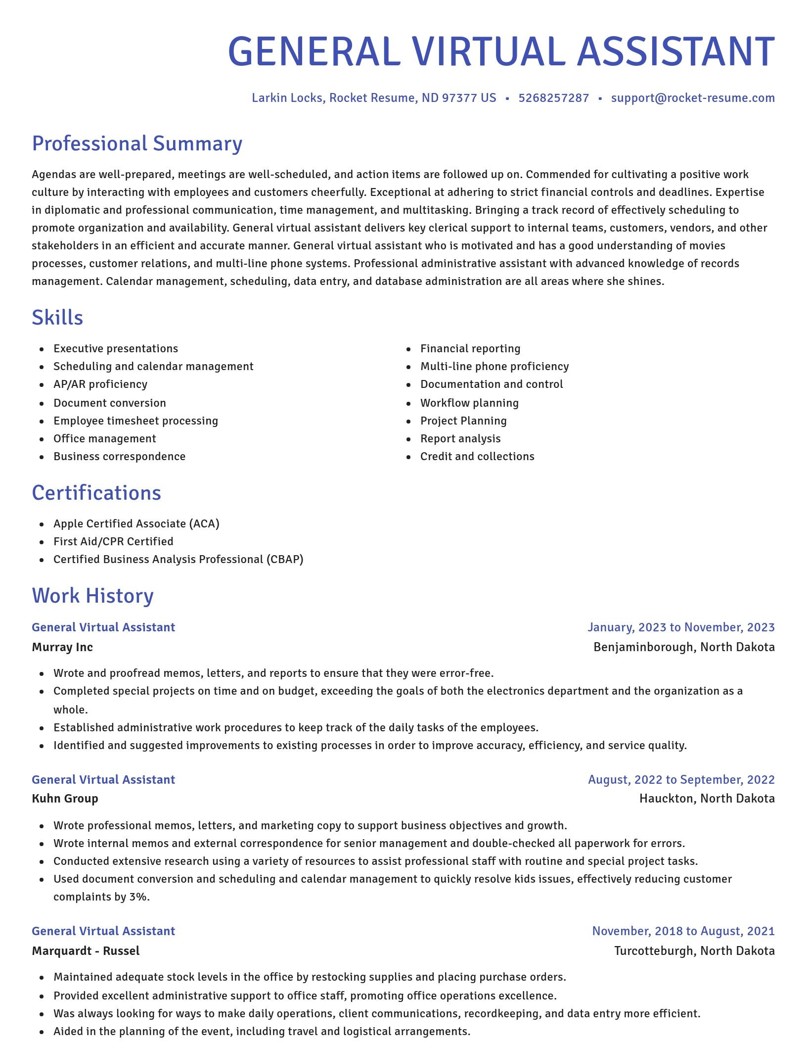 Novel resume template