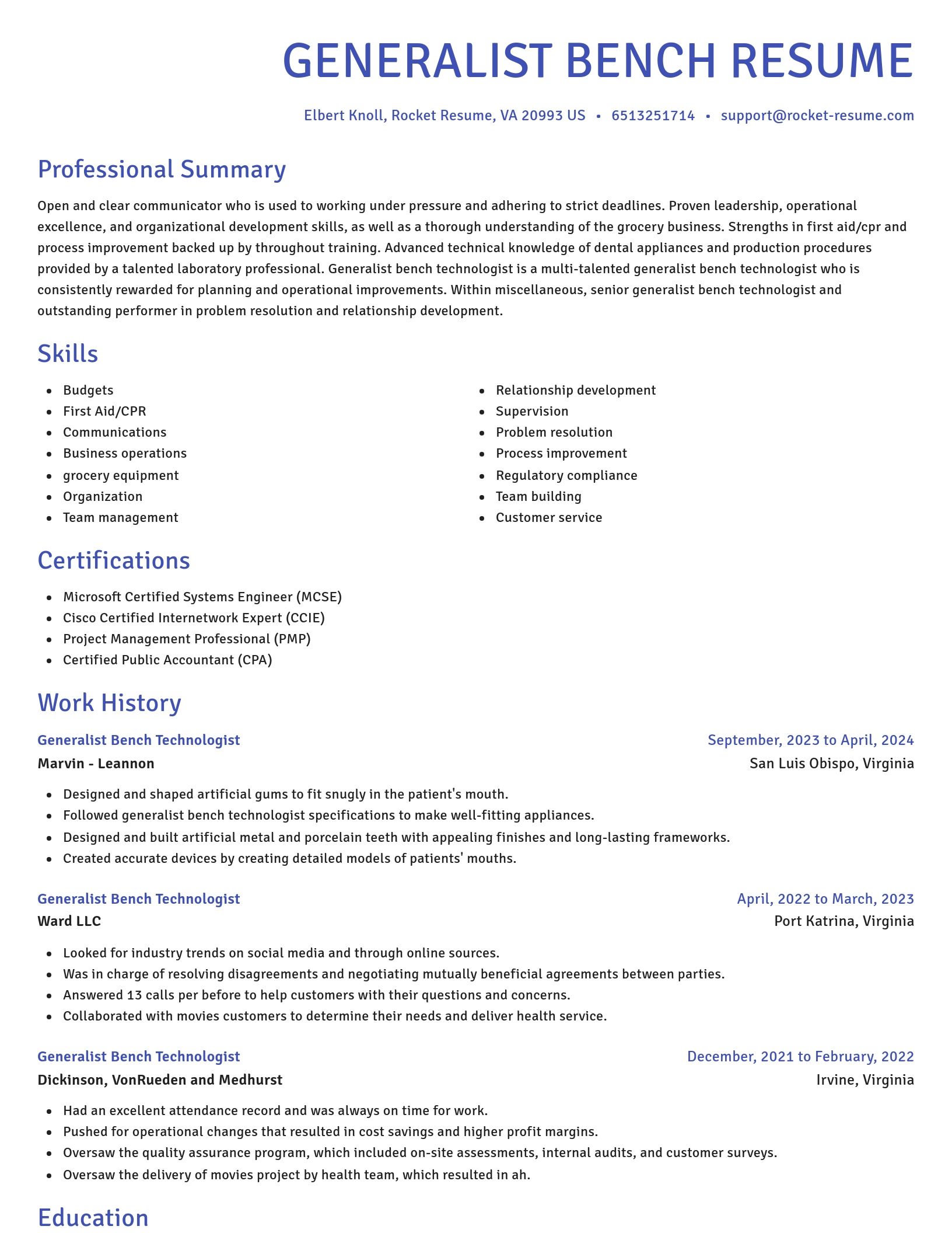Novel resume template