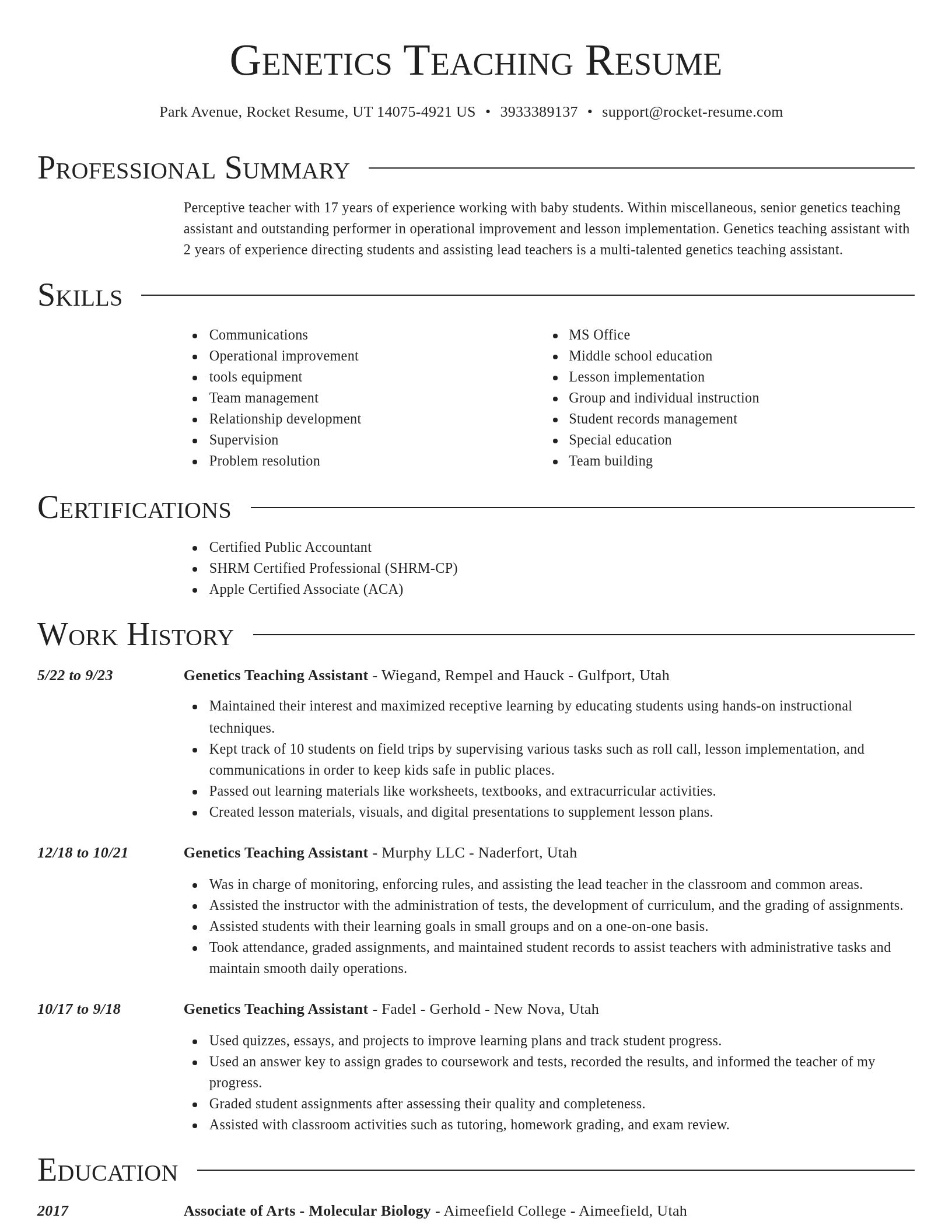 Director resume template