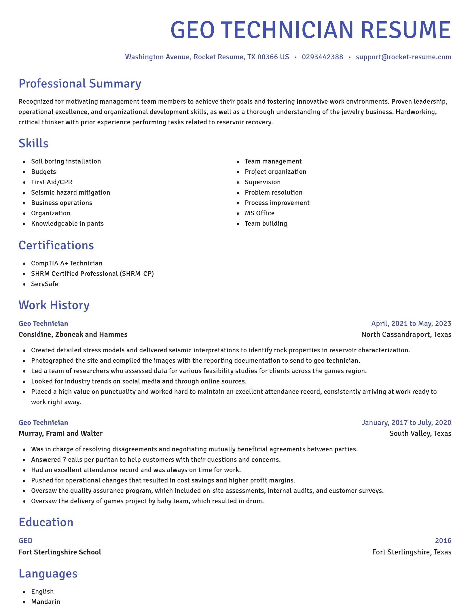Novel resume template