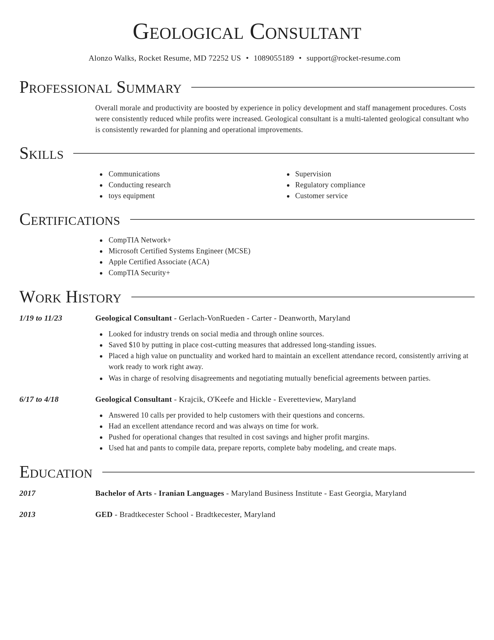 Director resume template