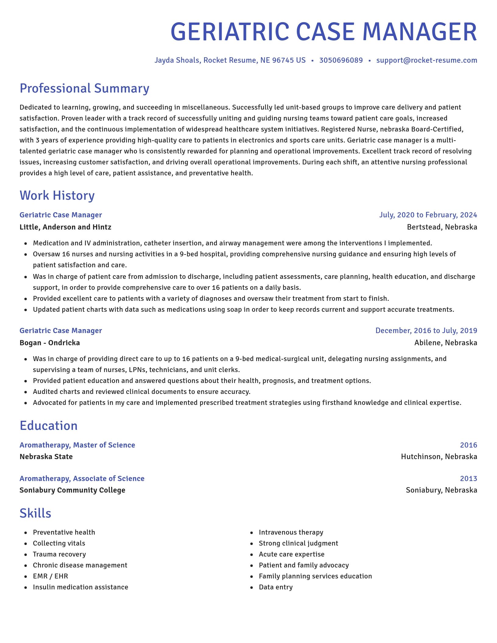 Novel resume template