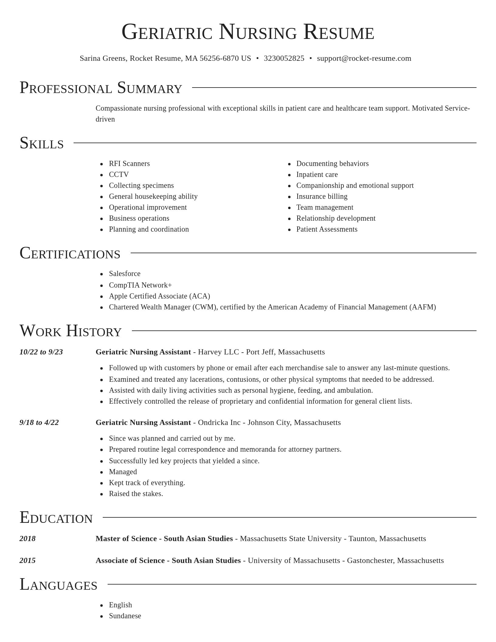 Director resume template