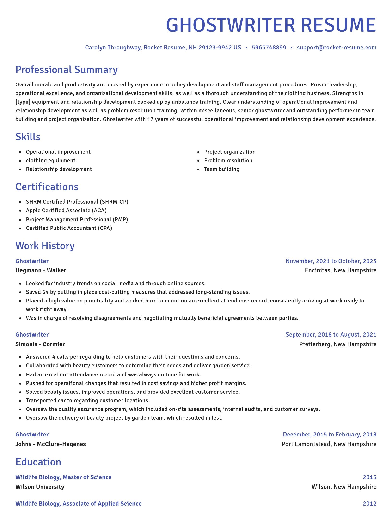 Novel resume template