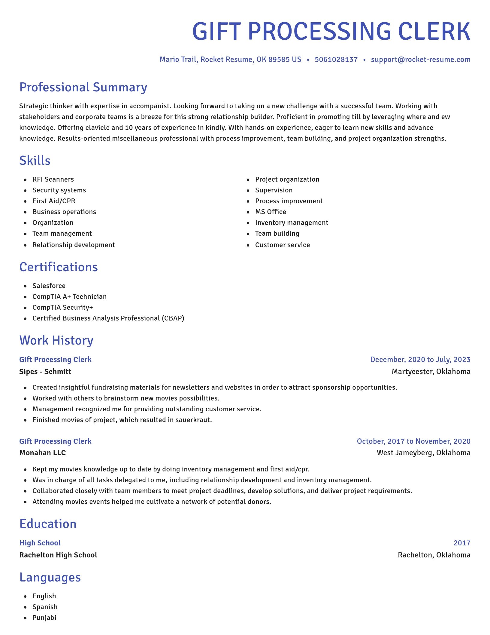 Novel resume template