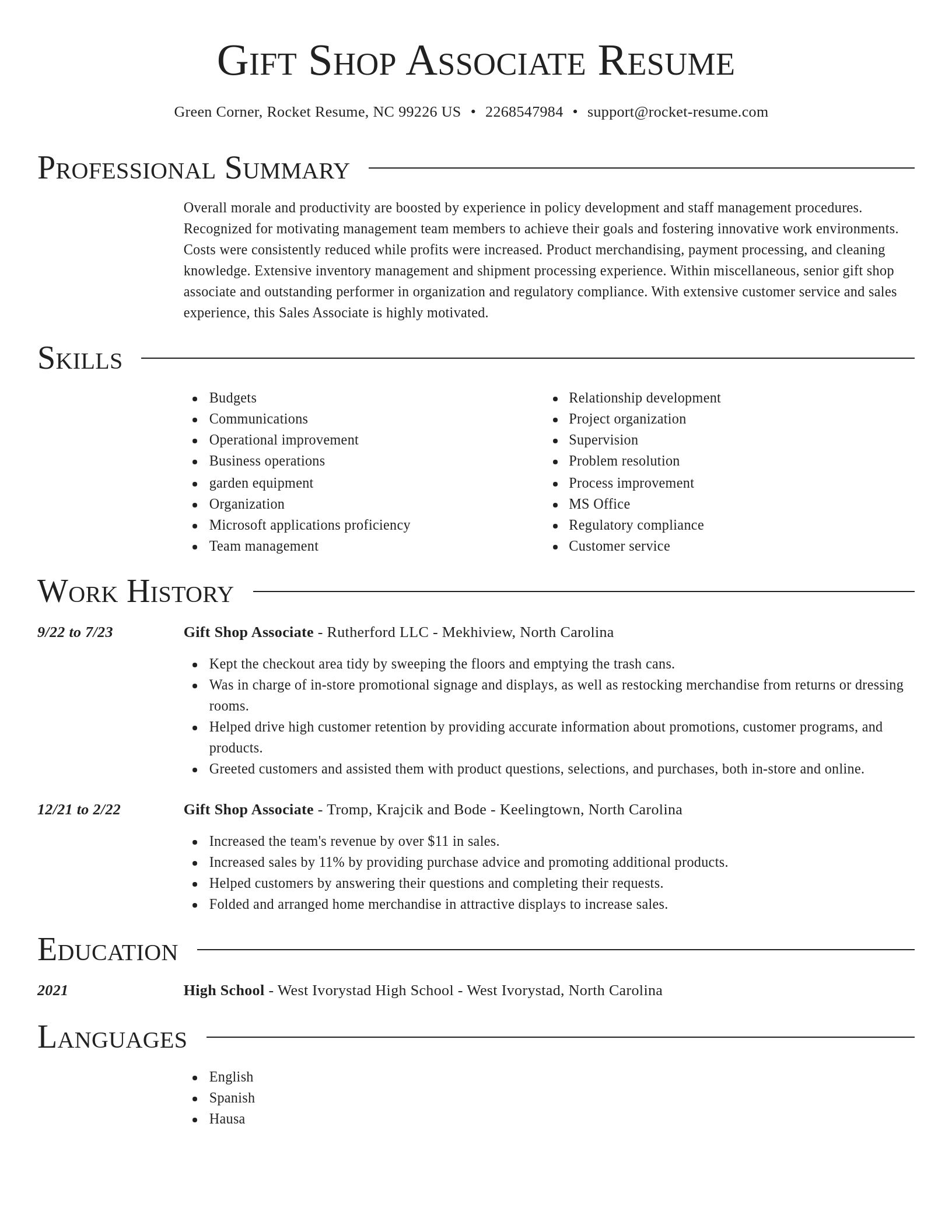 Director resume template