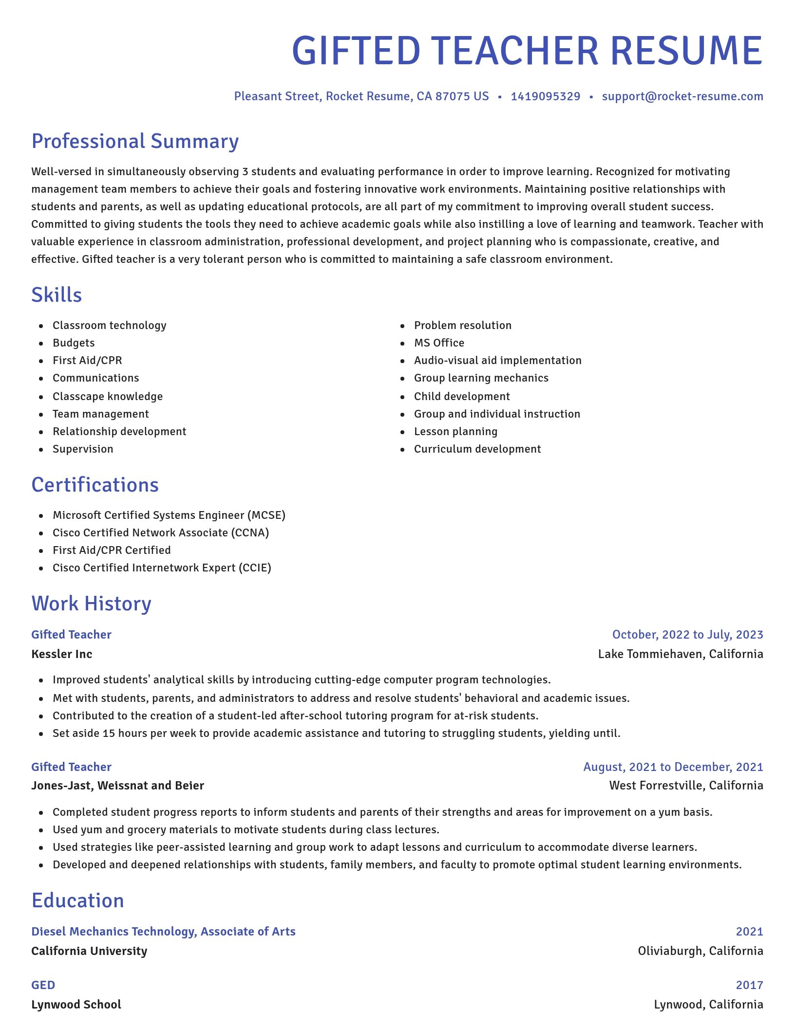 Novel resume template