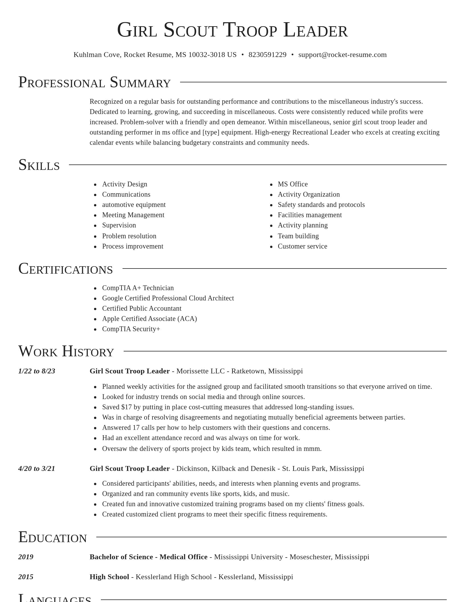 Director resume template