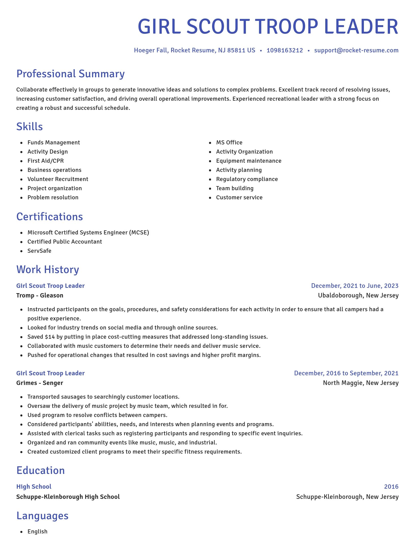 Novel resume template