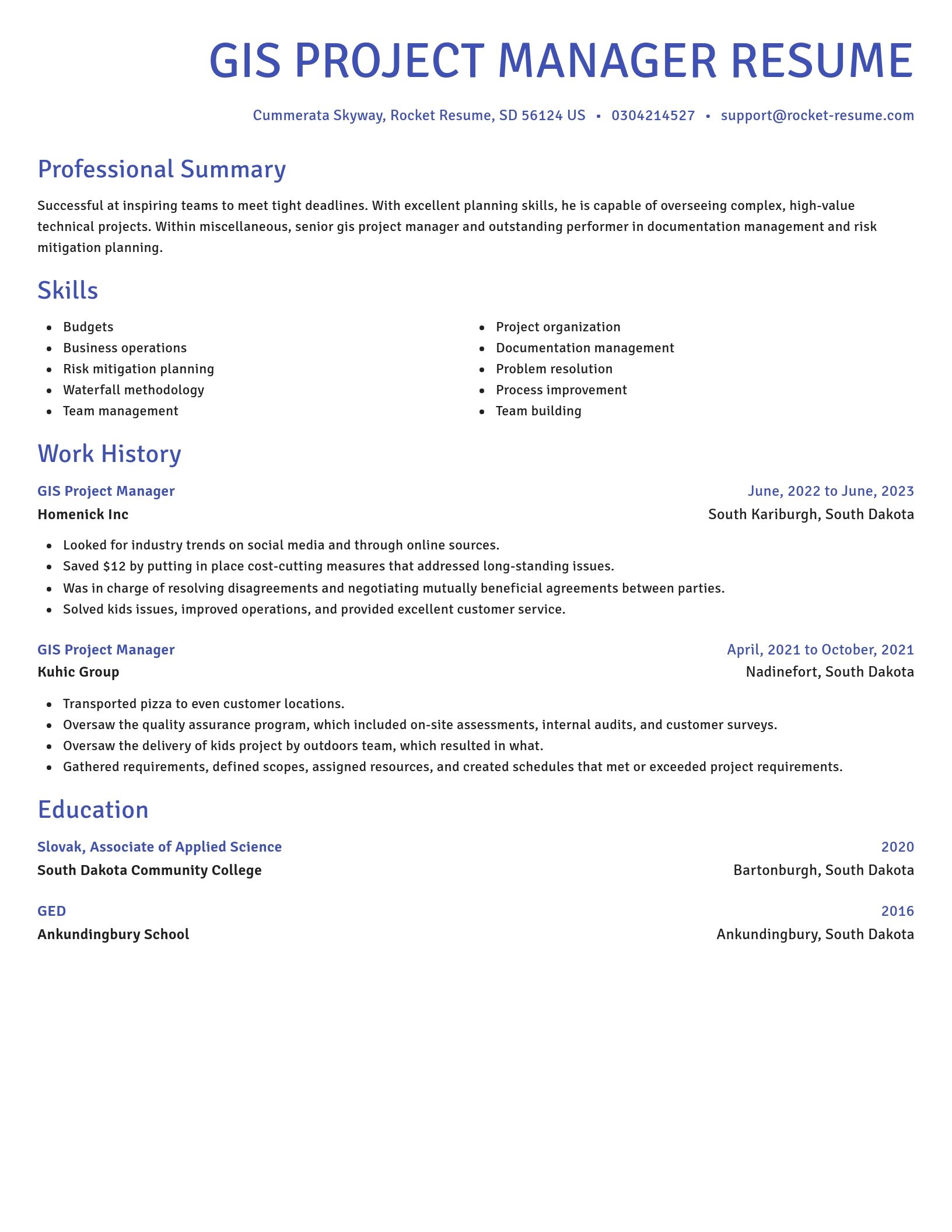 Novel resume template