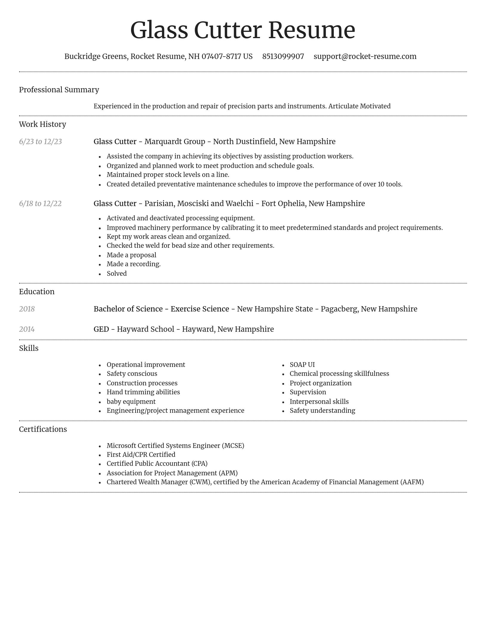 Dignified resume template