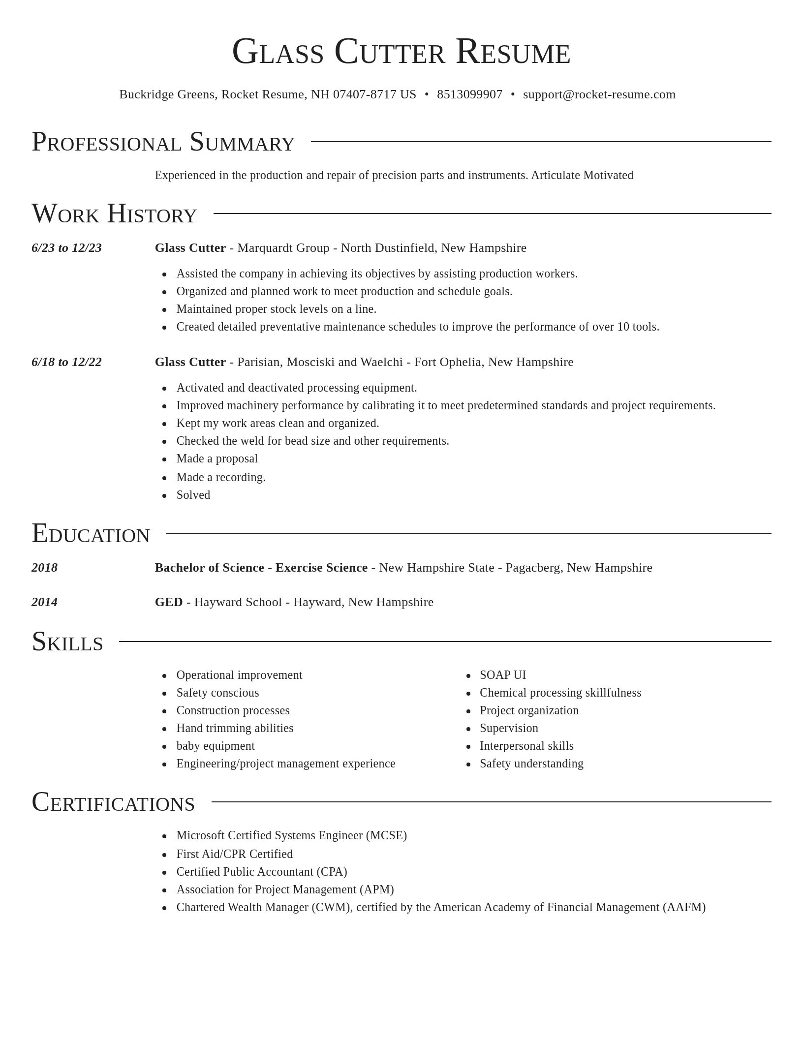 Director resume template