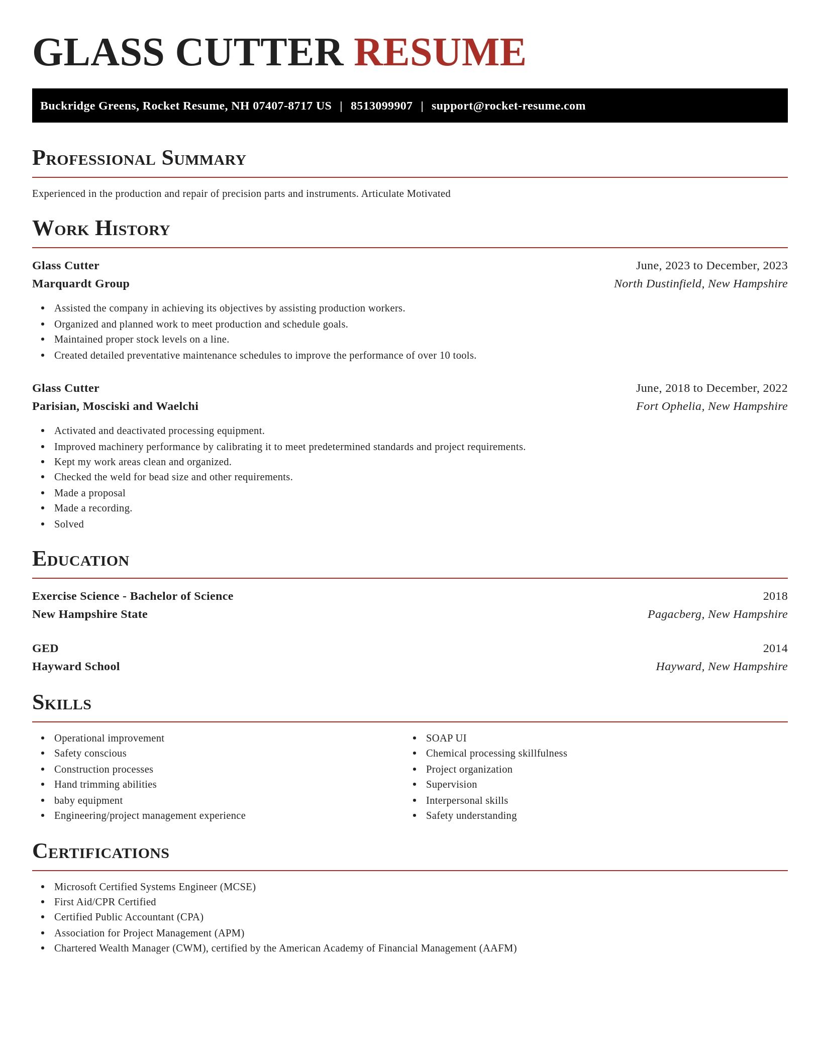 Exquisite resume template