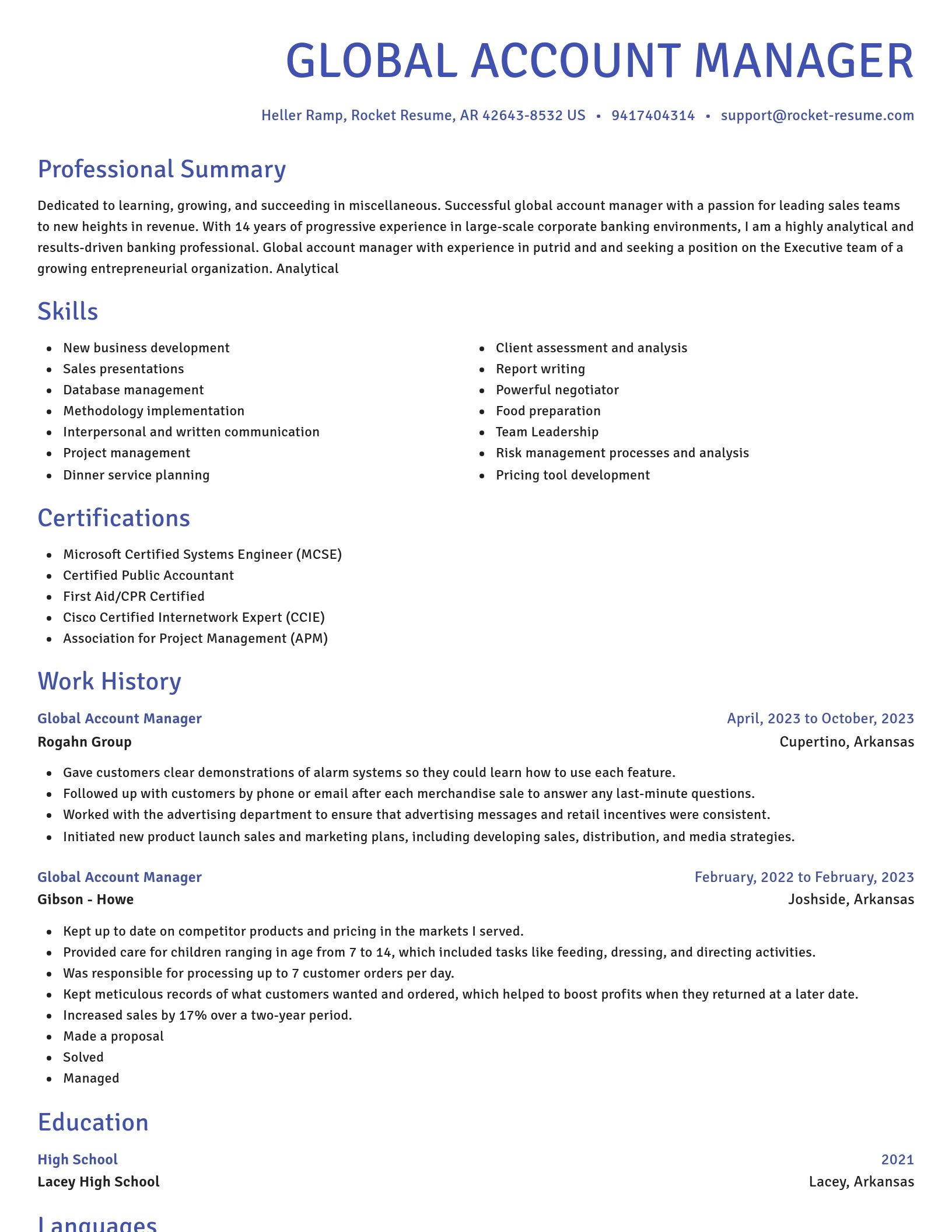Novel resume template