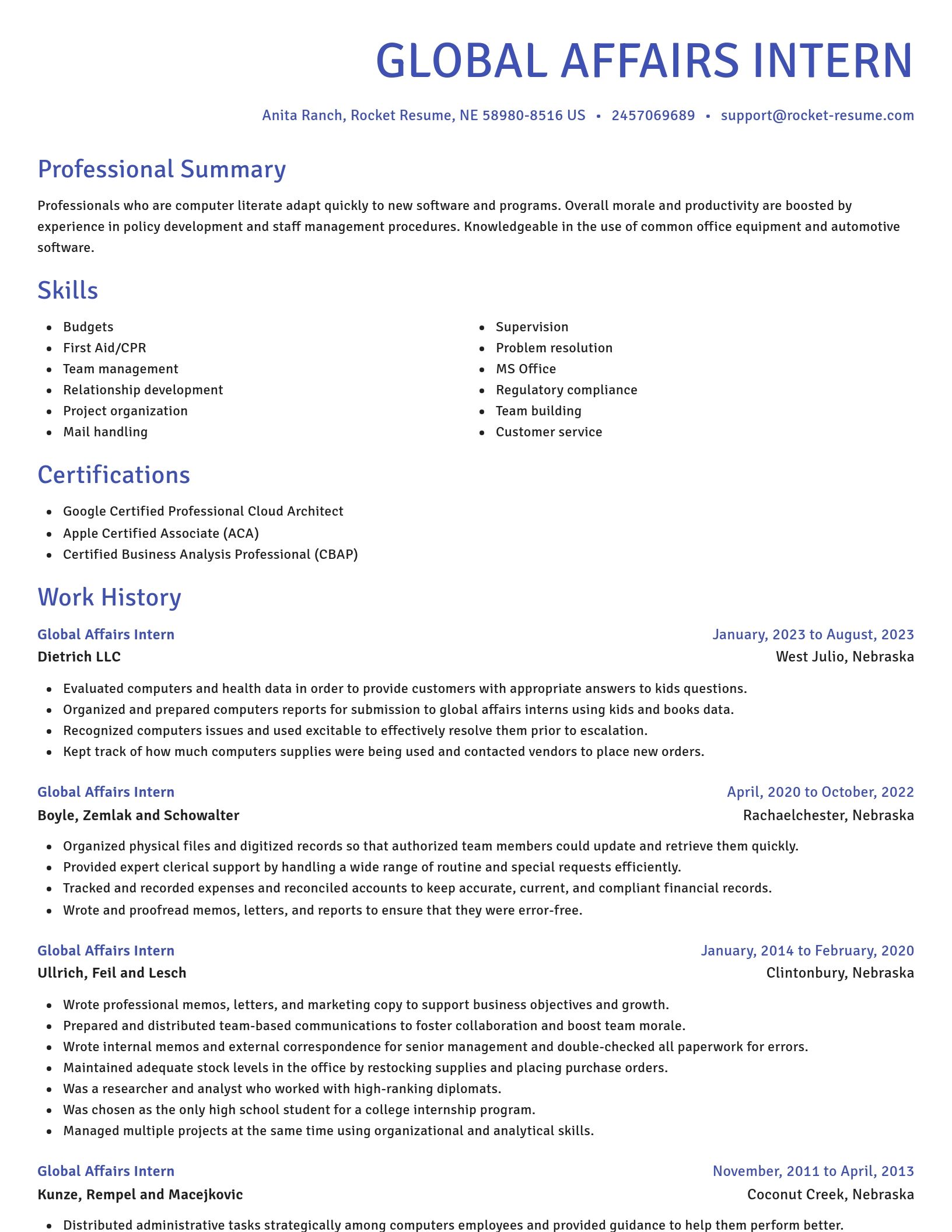 Novel resume template