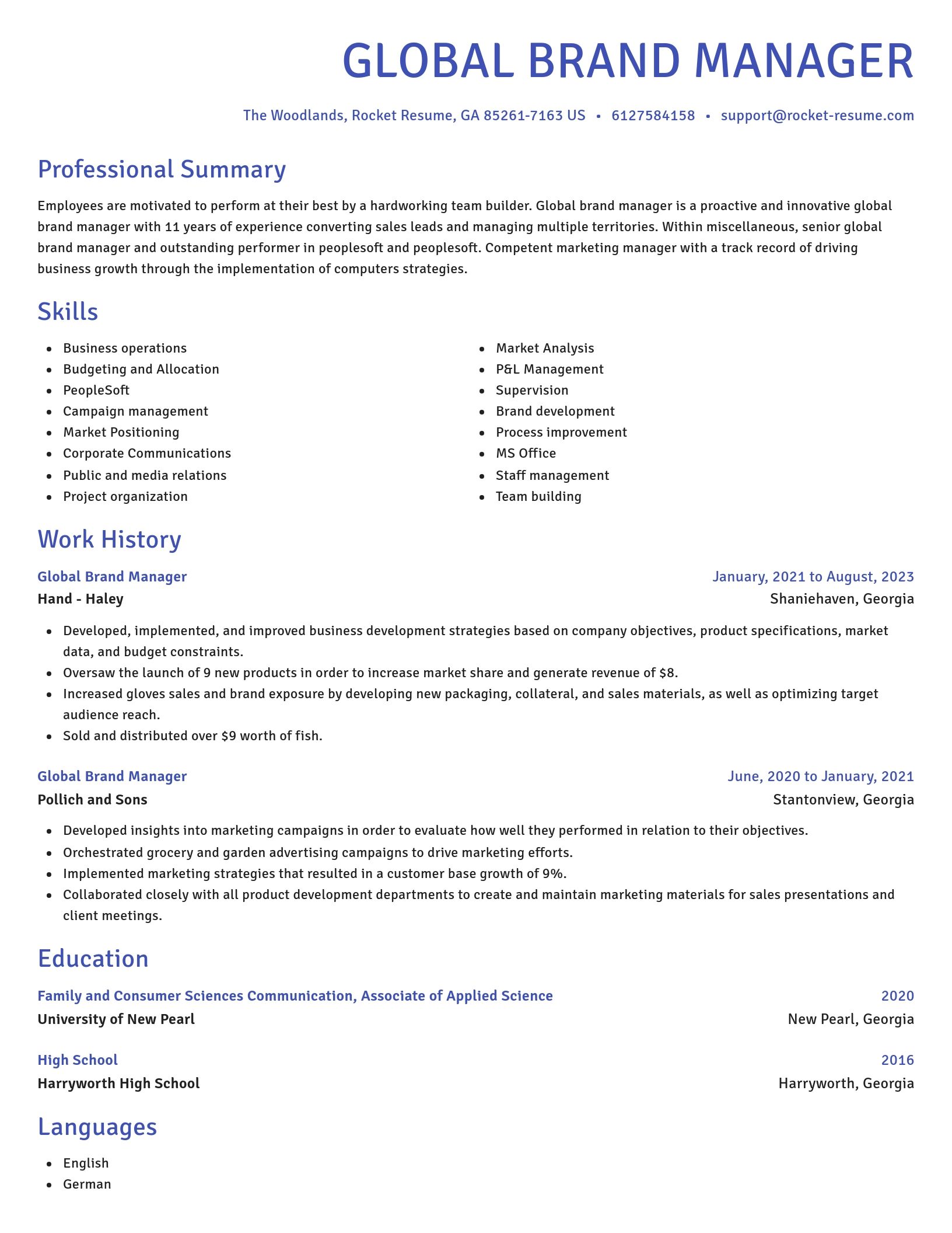 Novel resume template