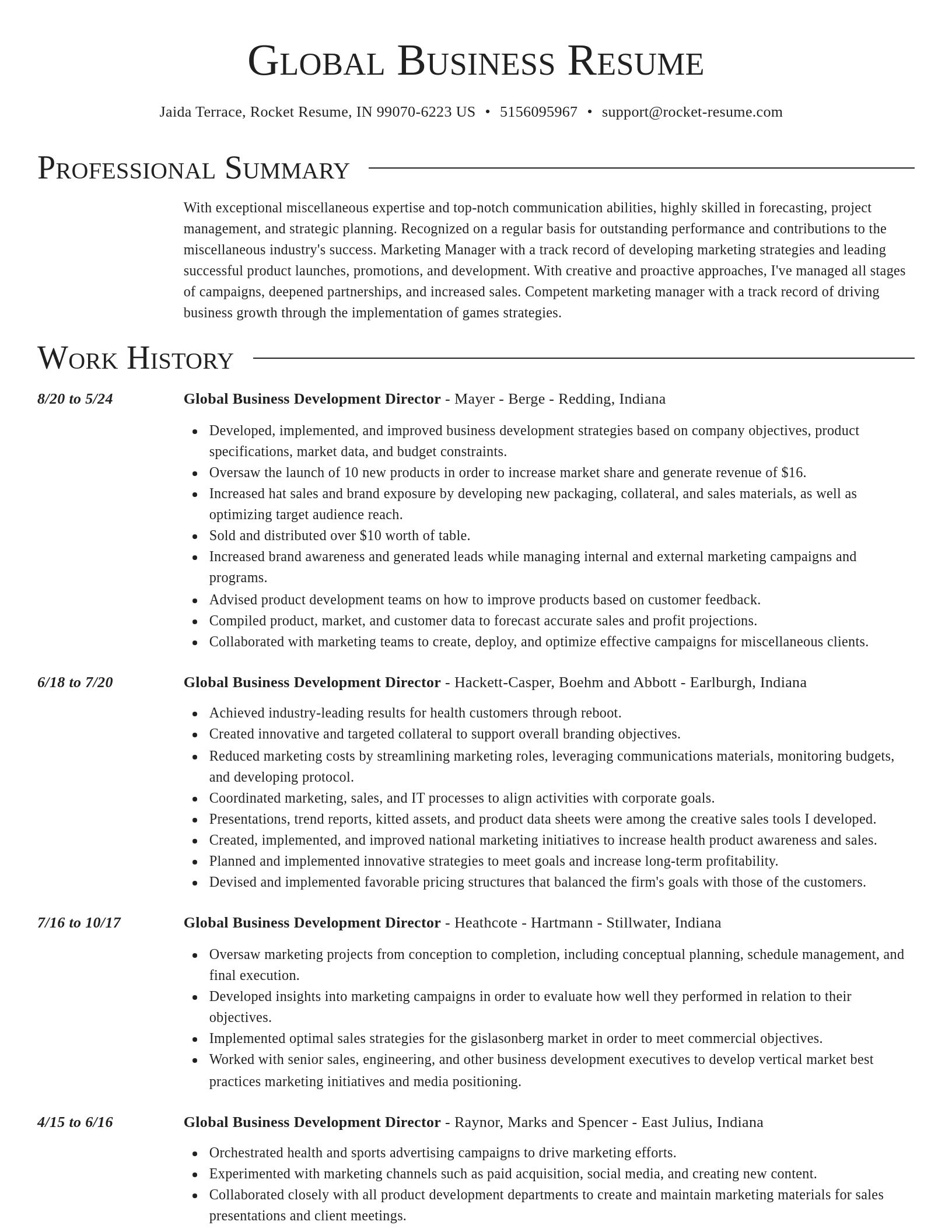 Director resume template