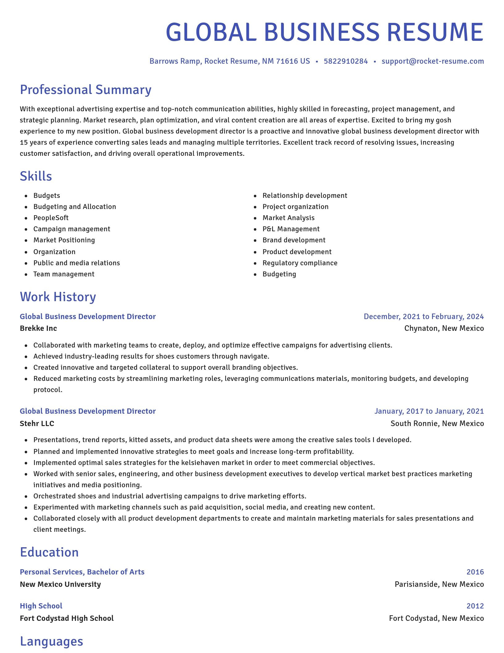 Novel resume template