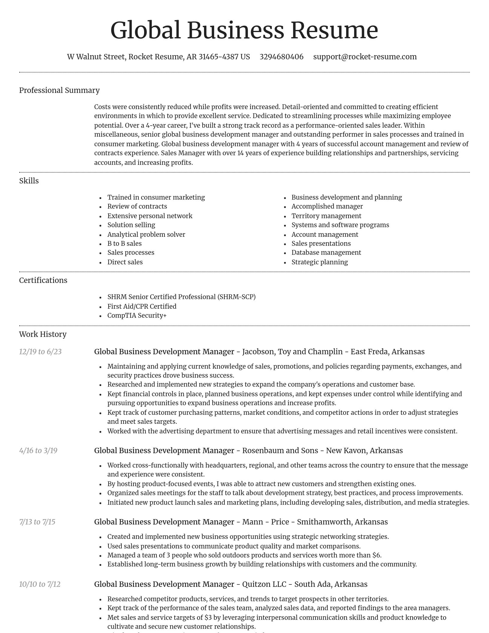 Dignified resume template