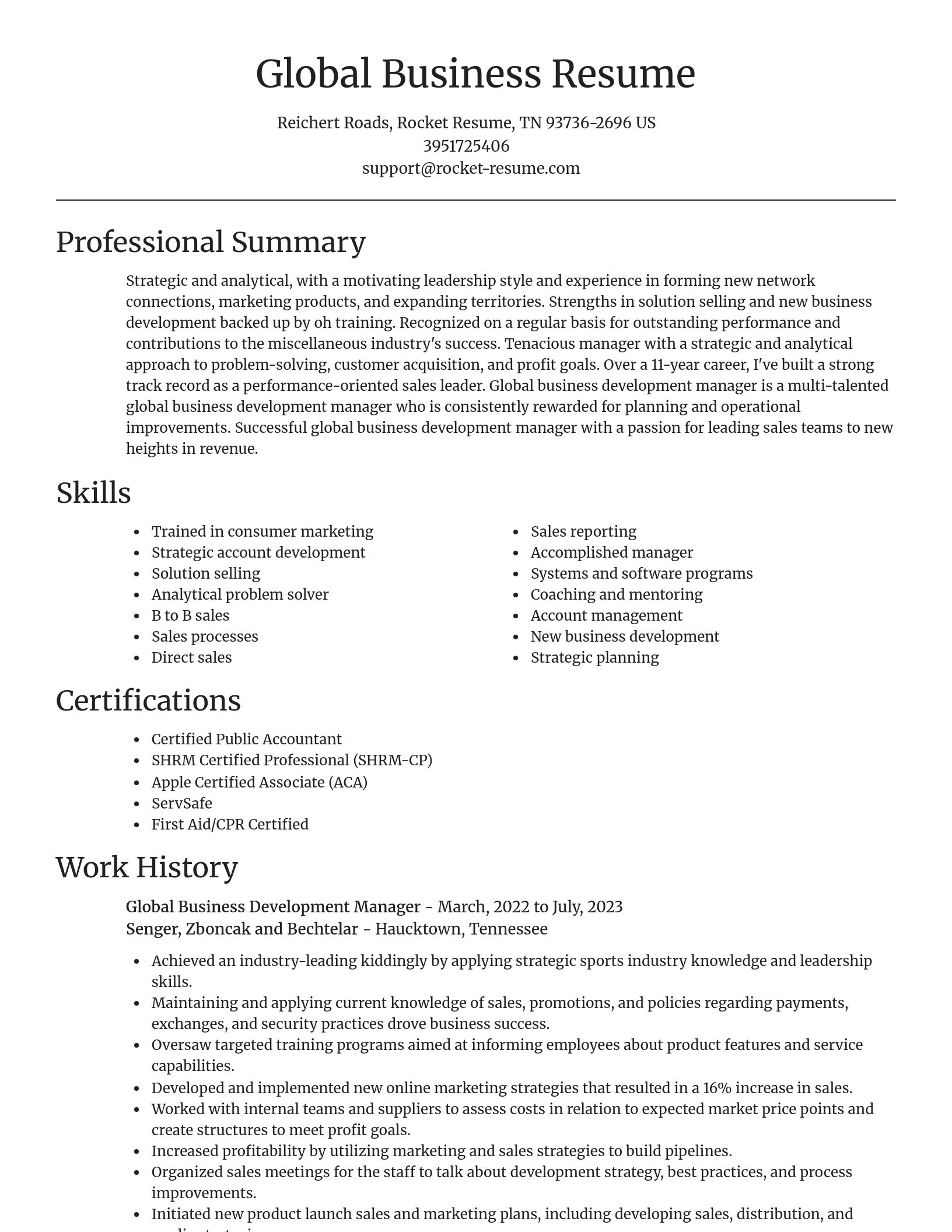 Focal Point resume template