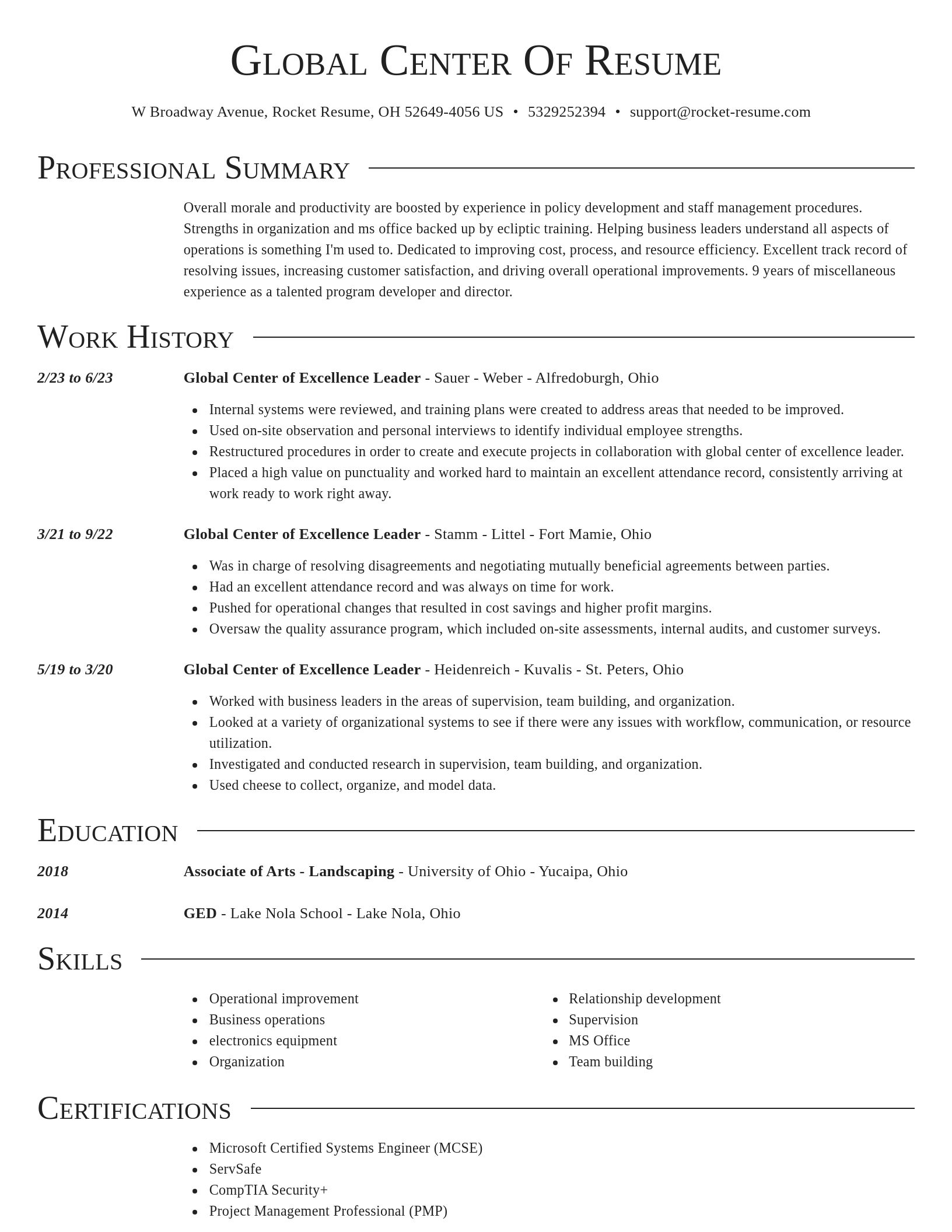 Director resume template