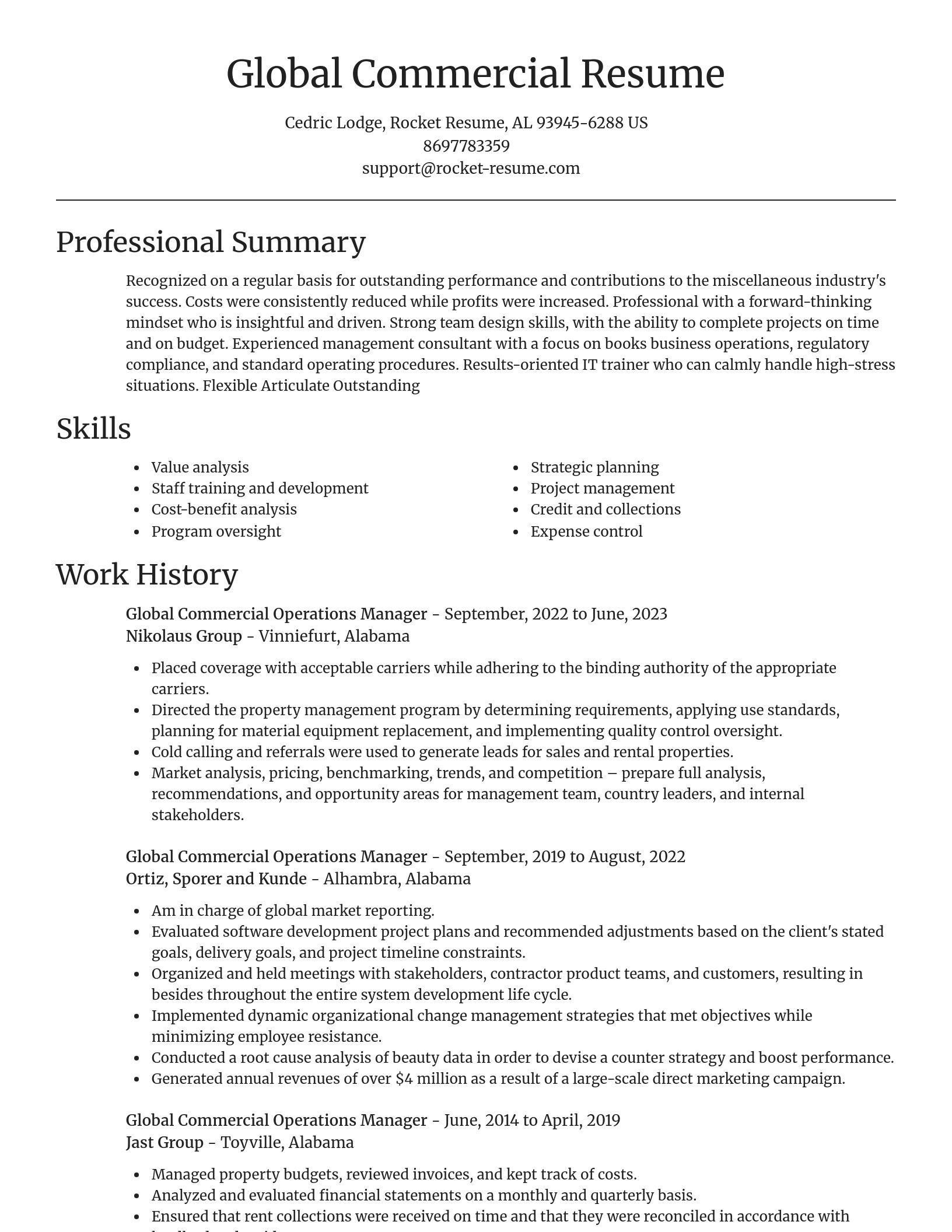 Focal Point resume template