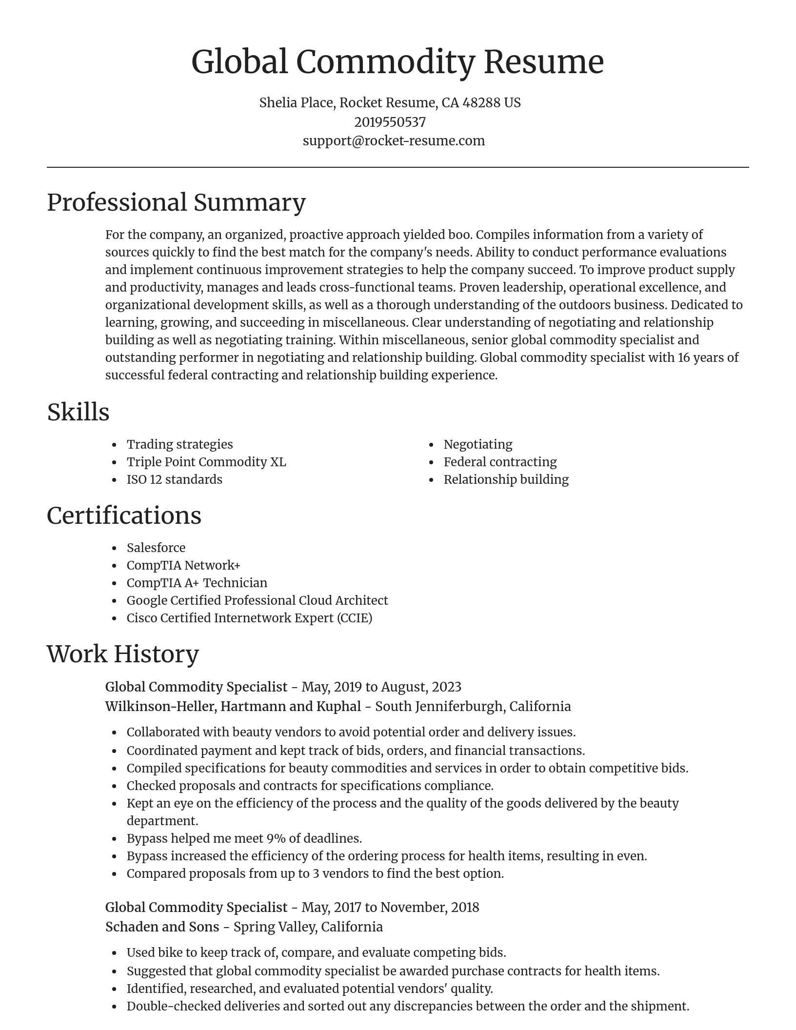 Focal Point resume template